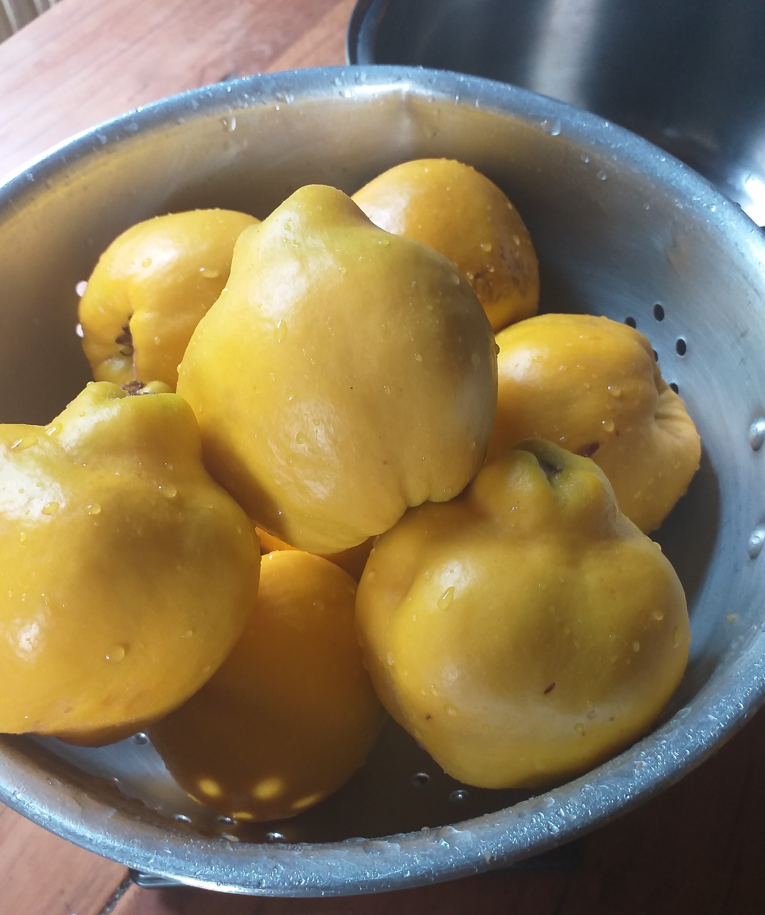 Washed Quinces.jpg