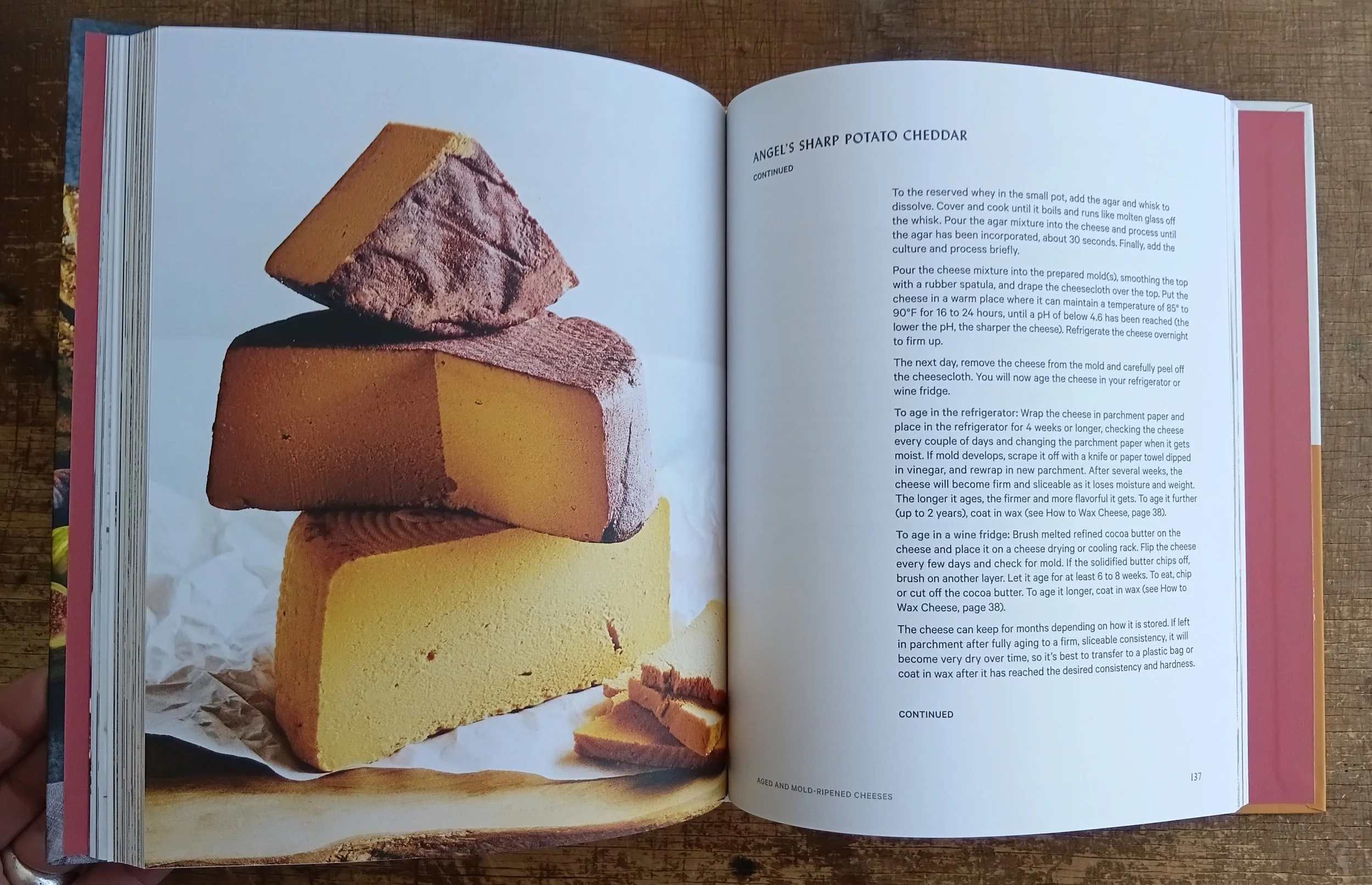 Vegan Creamery 3.jpg