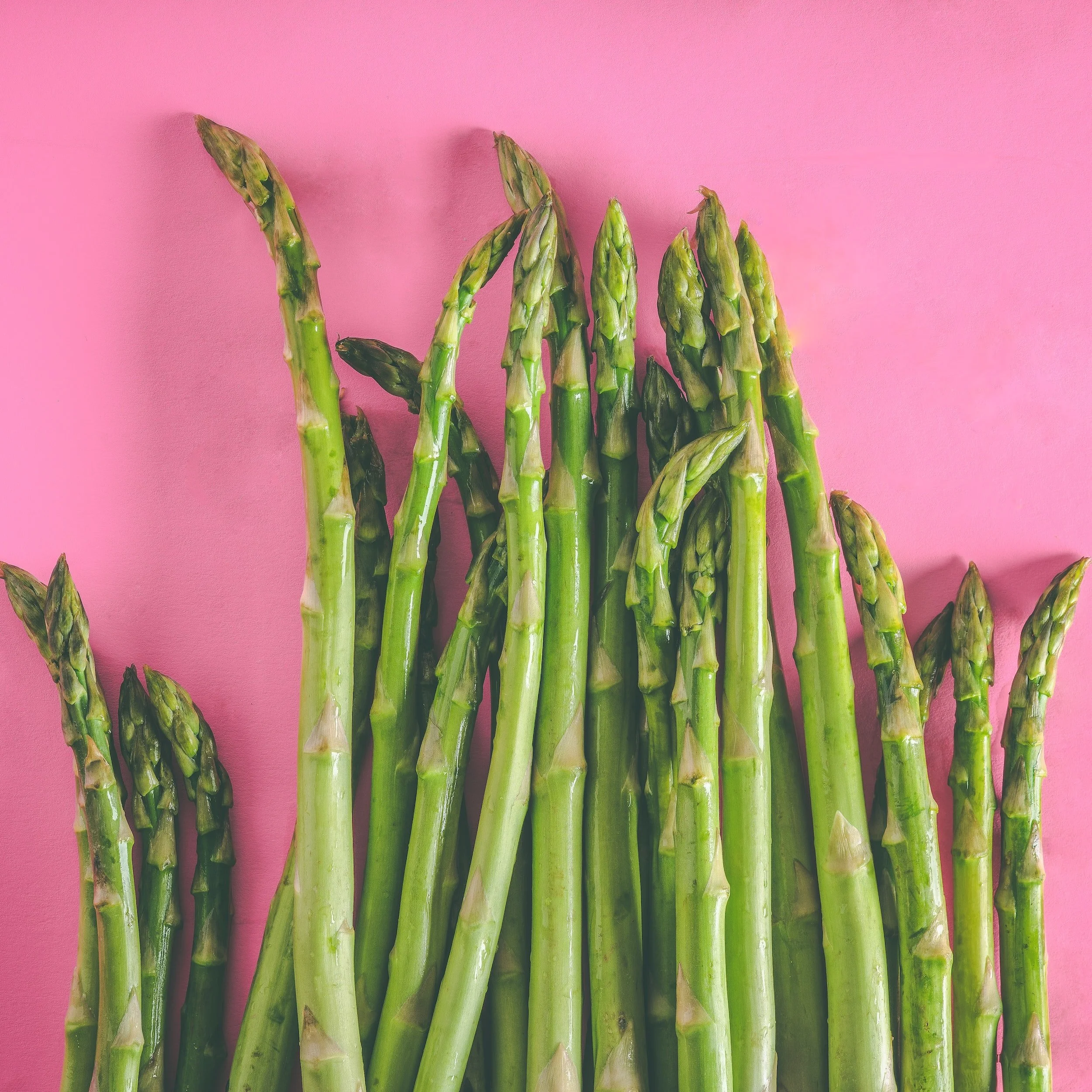 asparagus vegetable