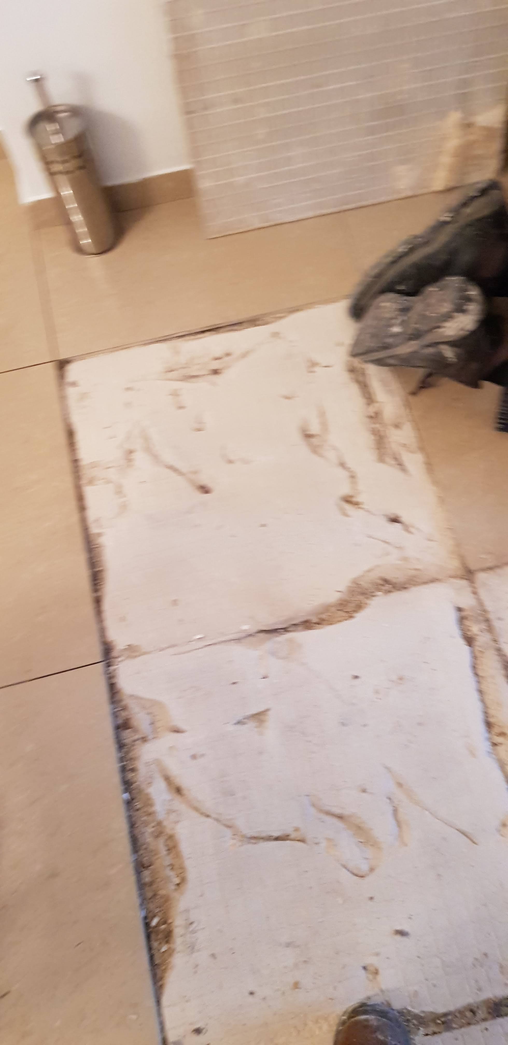 20191006_180020.jpg