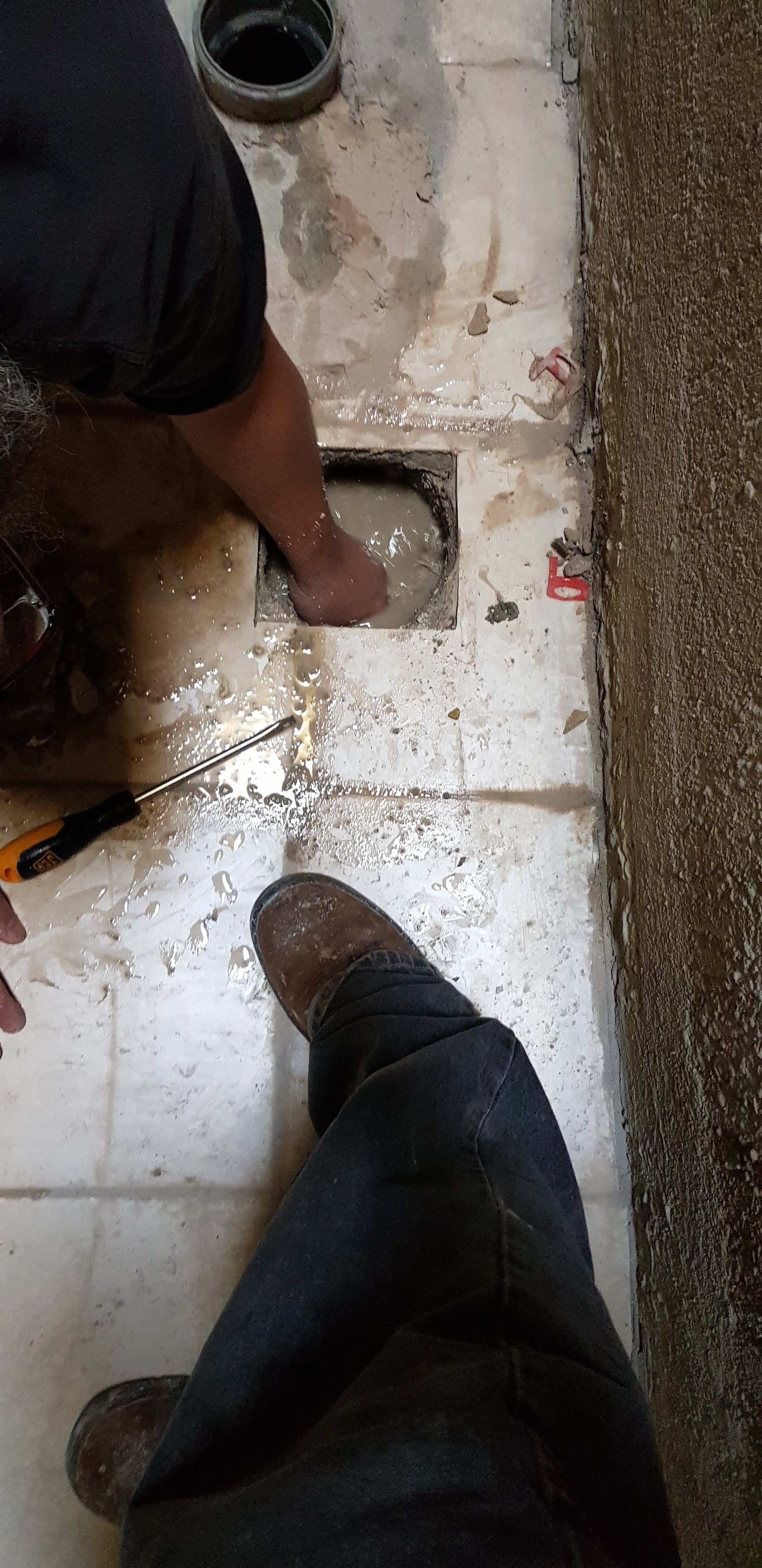 20191006_131824.jpg