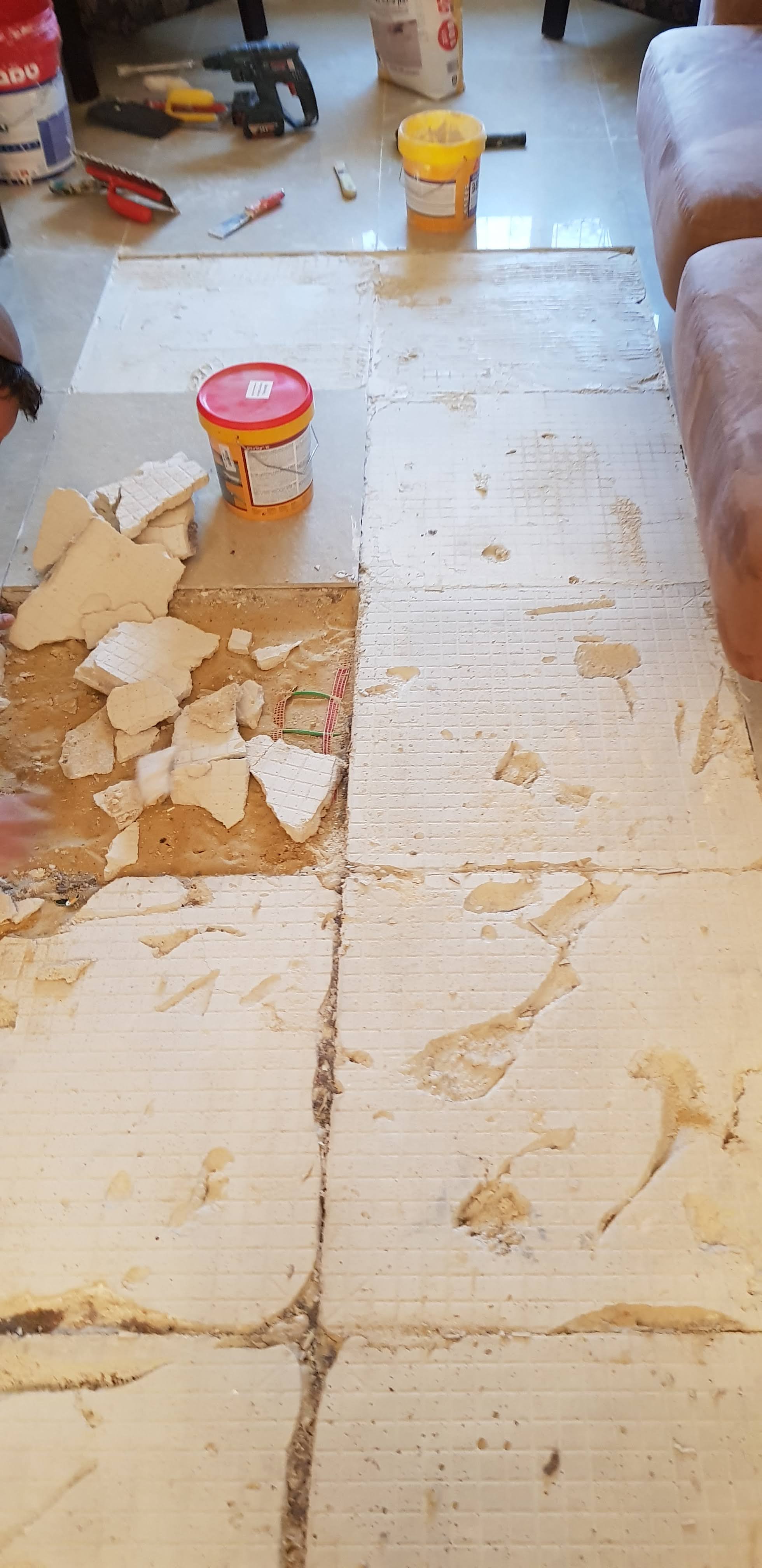 20191006_180023.jpg