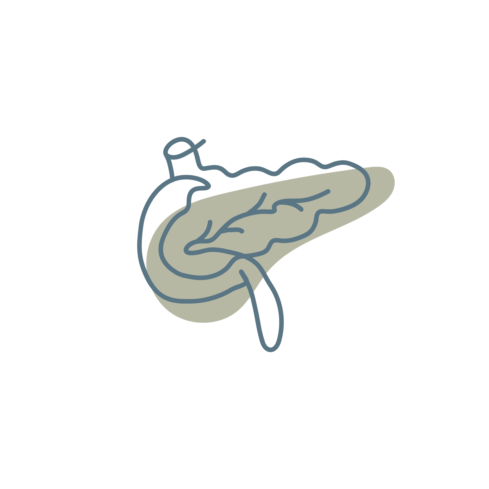 BloodSugarPancreas.png