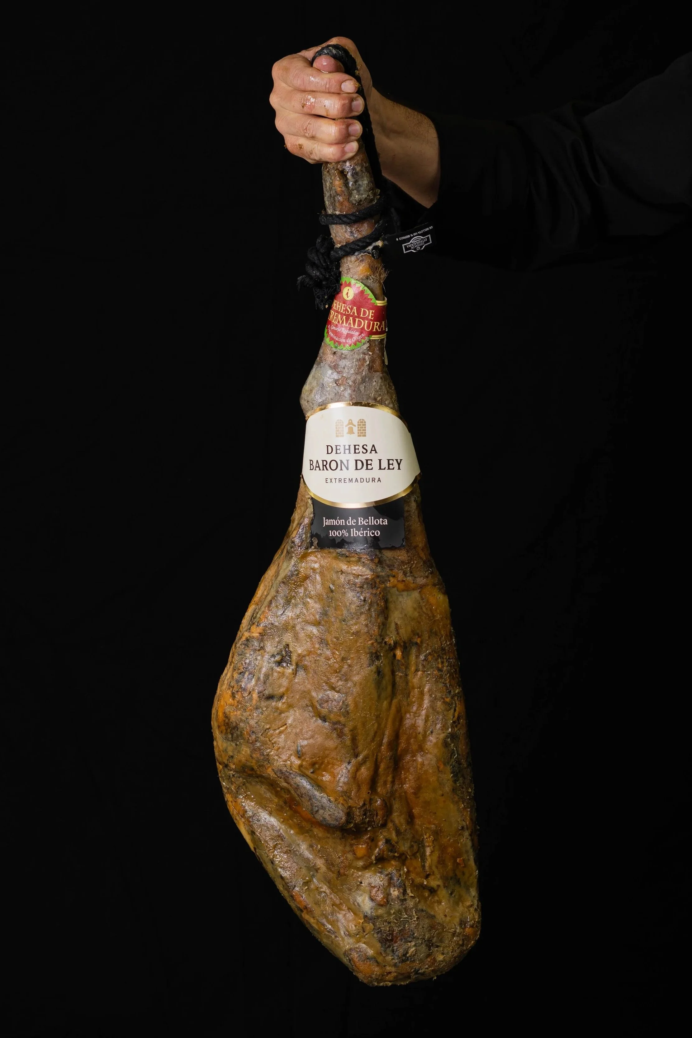 AlbertoBenito_Jamon_Bellota100x100_BarondeLey_001.jpg