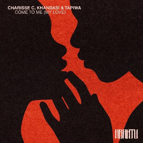 Charisse C, Khandasi, TAPIWA - Come To Me (My Love) - Engineer, Mixer