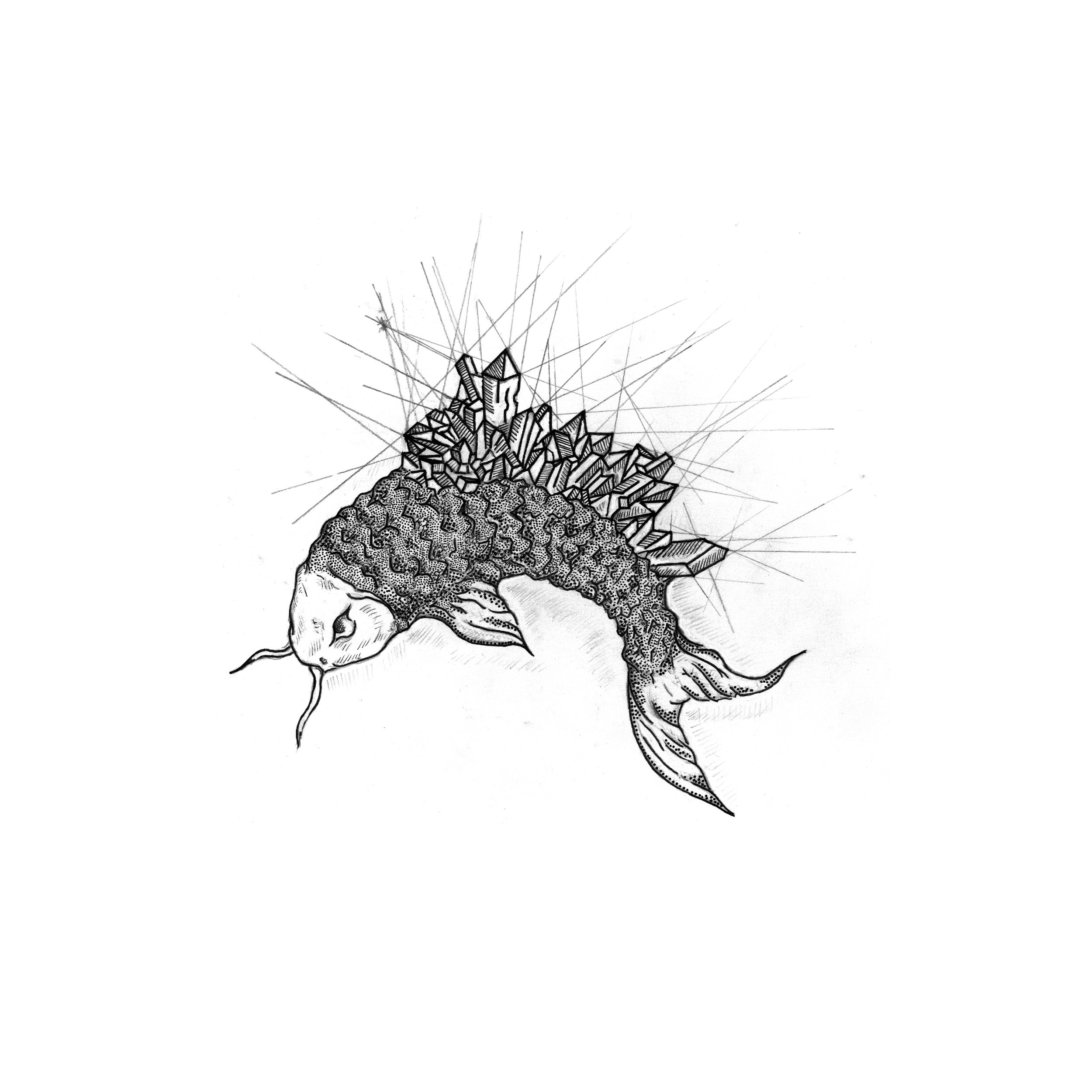 Something Fishy