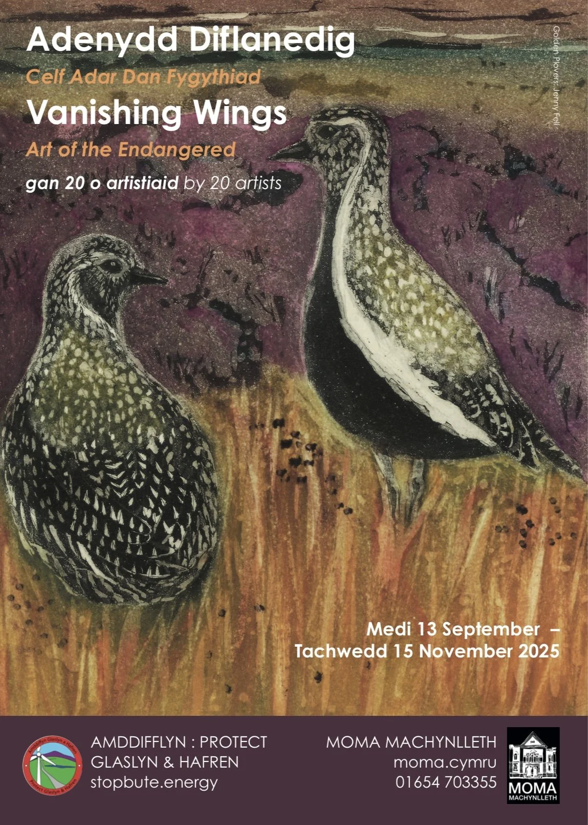 VANISHING WINGS: ART OF THE ENDANGERED EXHIBITION MOMA MACHYNLLETH