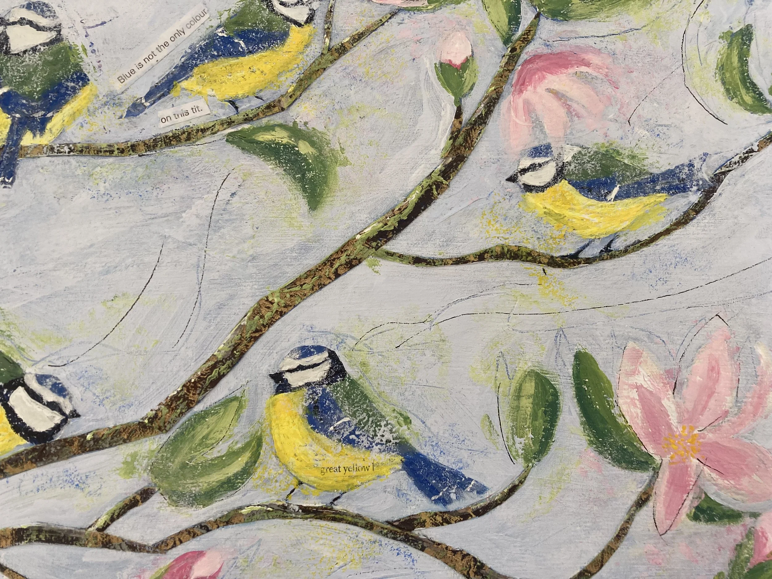Spring Blue Tits closeup 1.jpeg