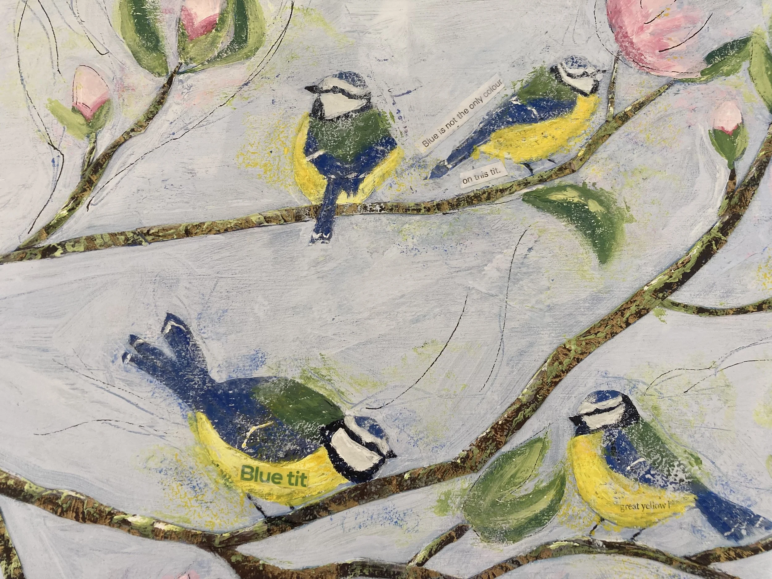 Spring Blue Tits closeup 2.jpeg