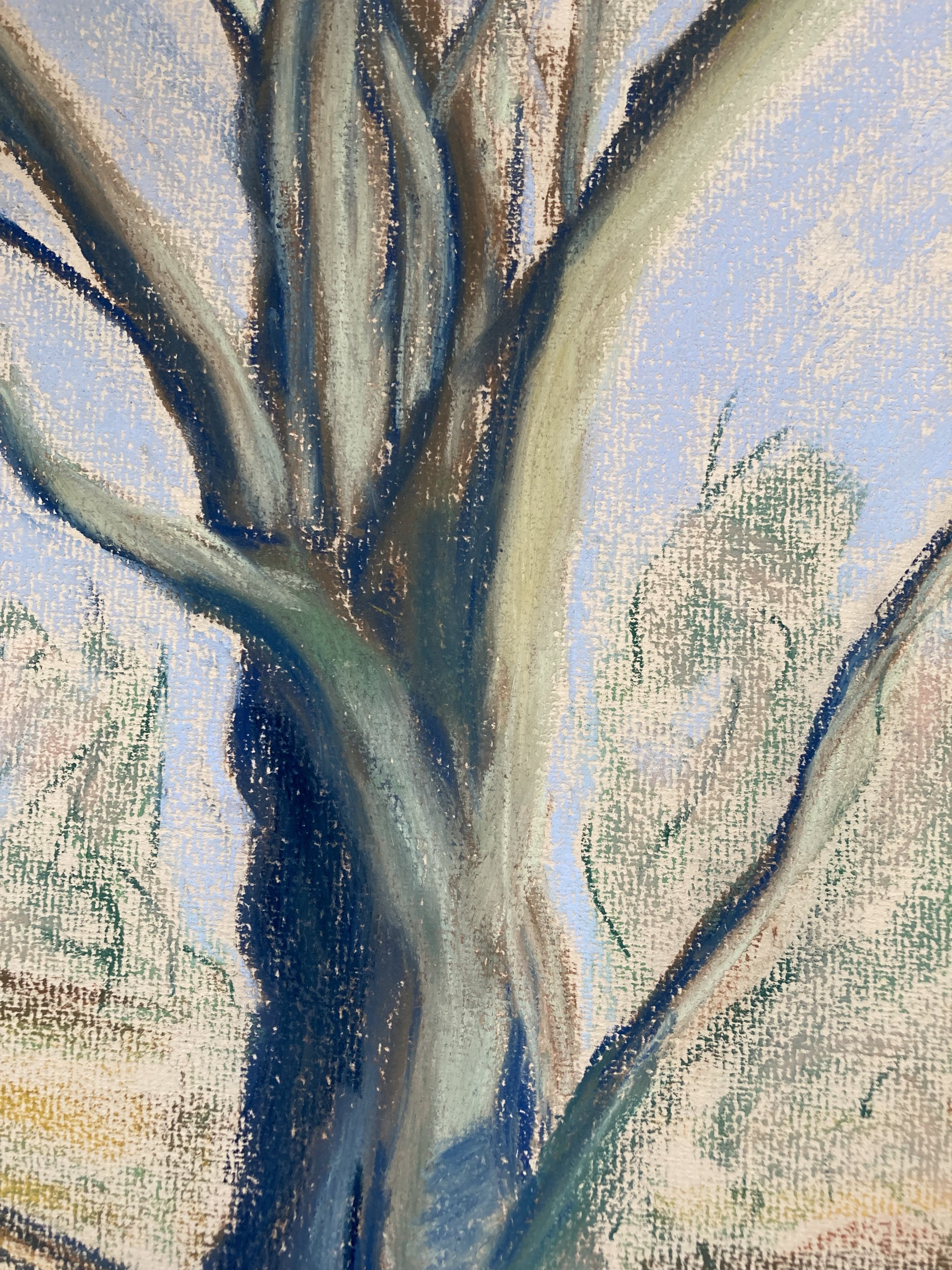 Twisting Tree detail 2.jpeg