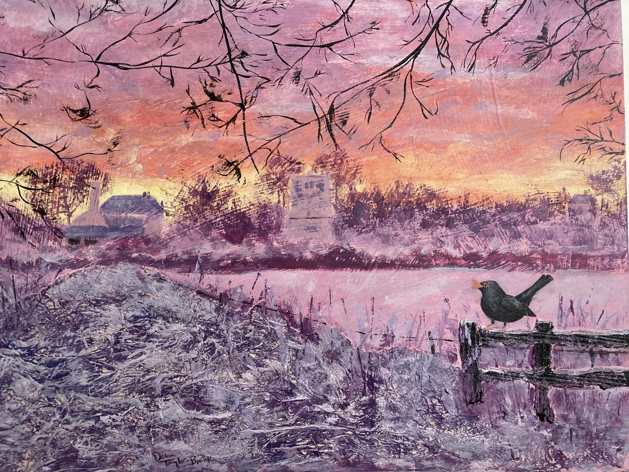 Morning Glory 1.JPEG