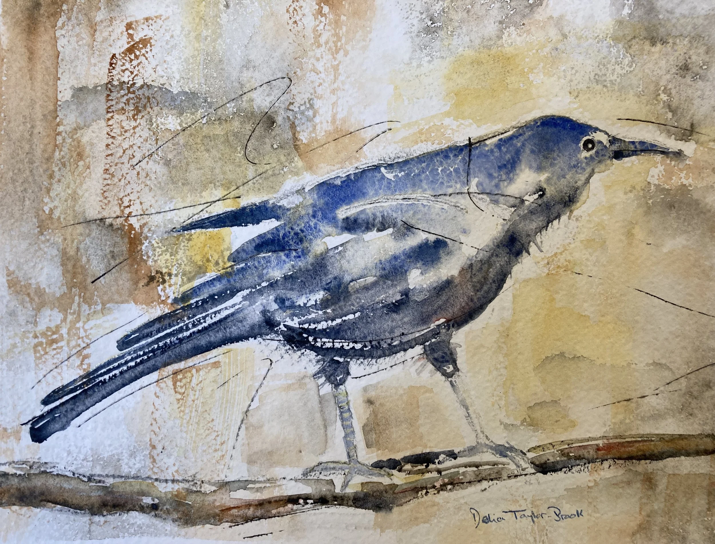 Curious Crow Original