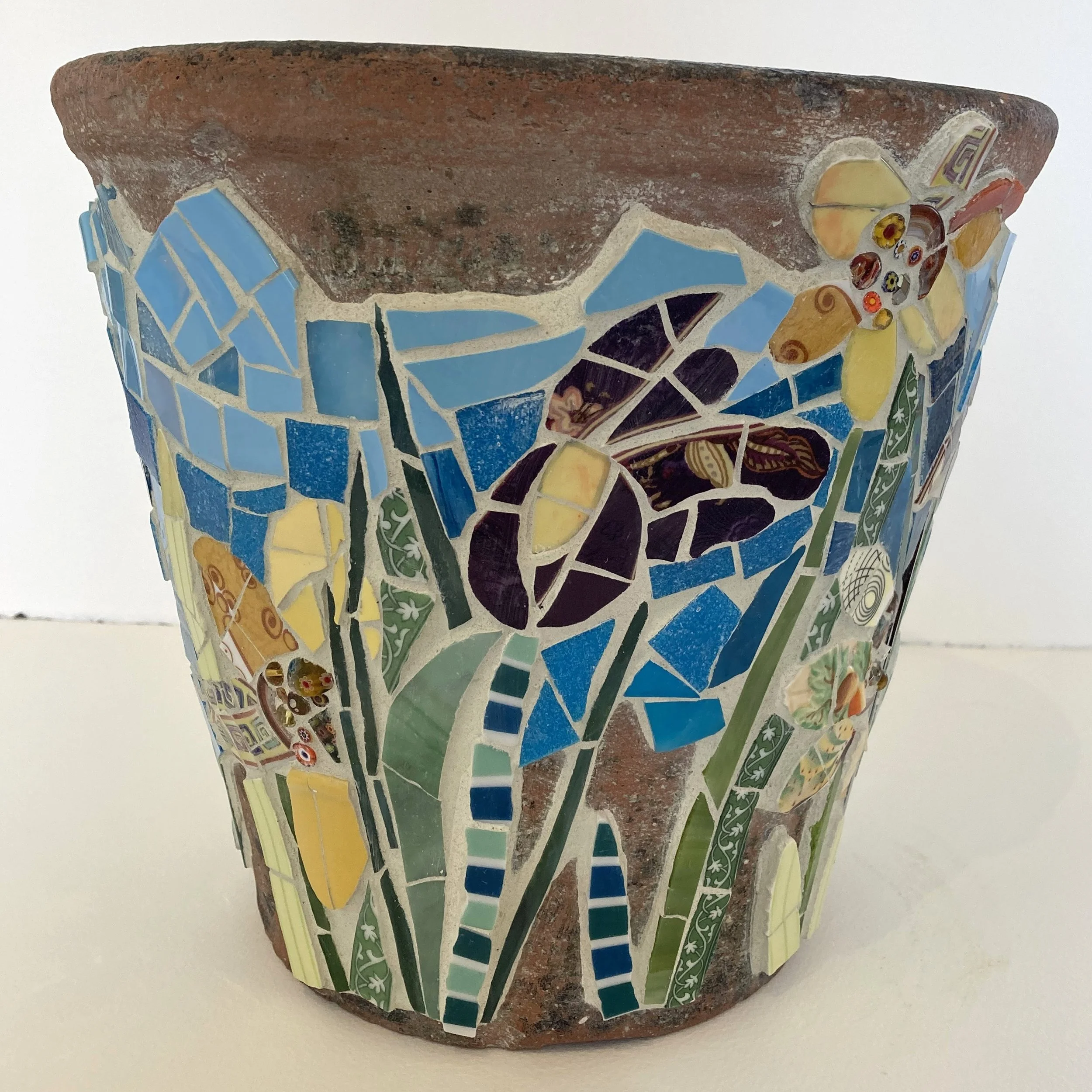 Daffs & Irises Terracotta Flower pot view 2.JPG