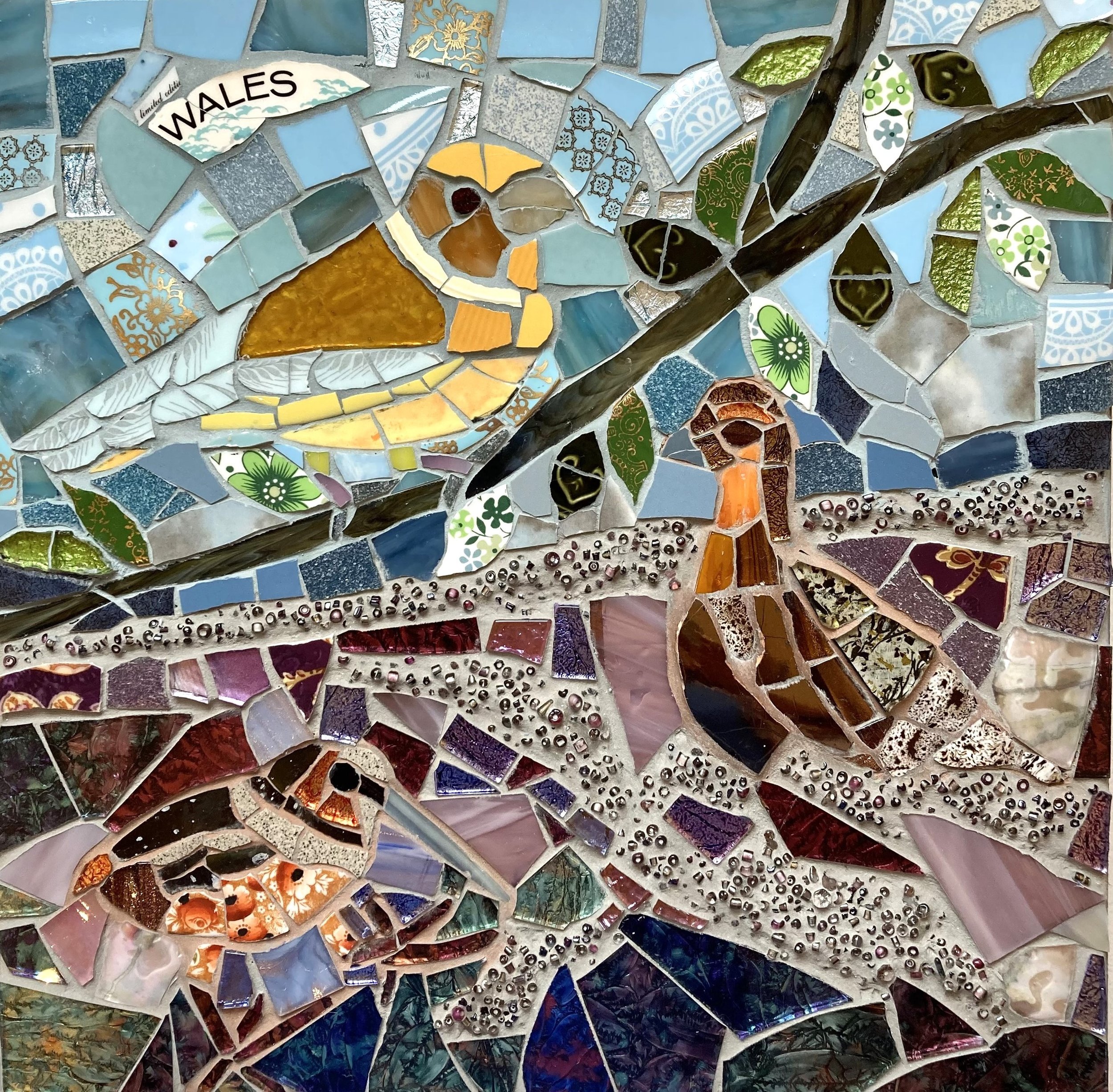 Limited Editions - Welsh Birds of Paradise.jpg
