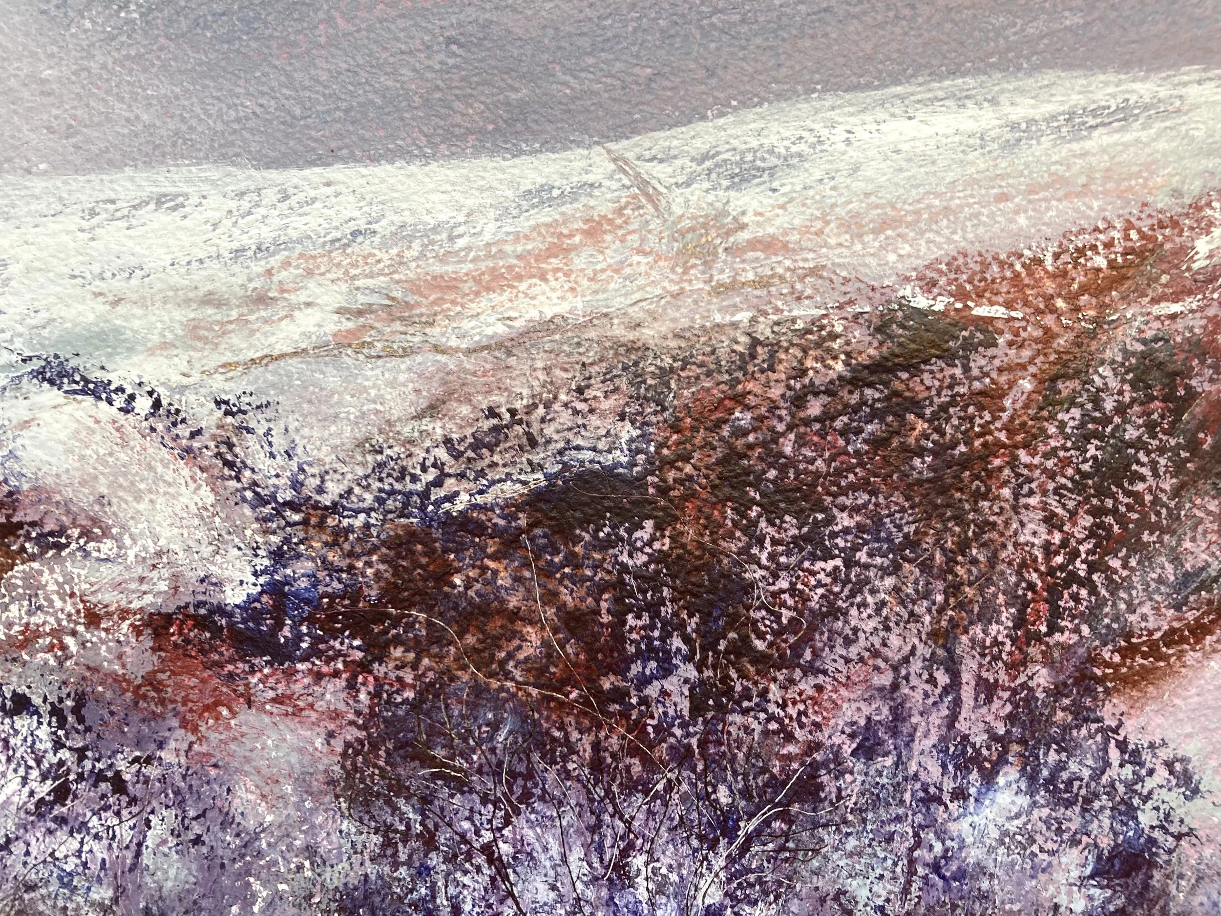 View from home close up no 2.jpeg