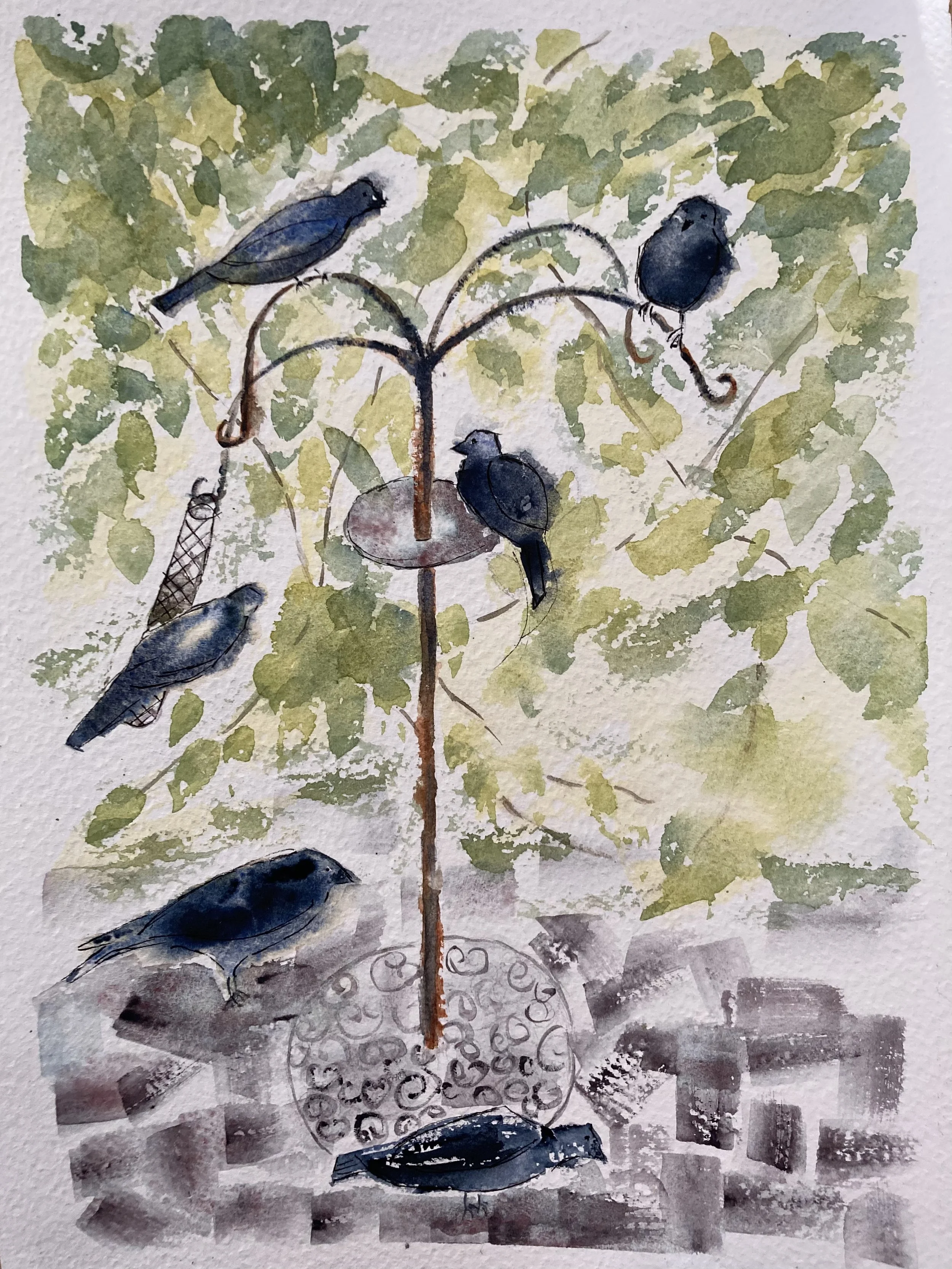 At The Bird Feeder, July 2026.jpeg