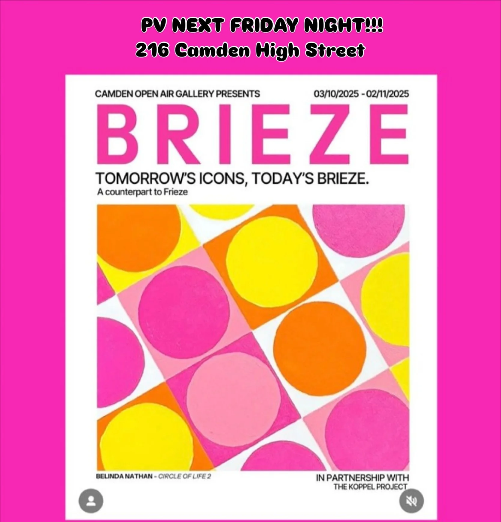 I am taking part in a group exhibition in the coolest of galleries, it&rsquo;s called Camden Open Air Gallery, but don&rsquo;t worry only the front is open!! I will be showing work with other Koppel artists although the collaboration was organised be