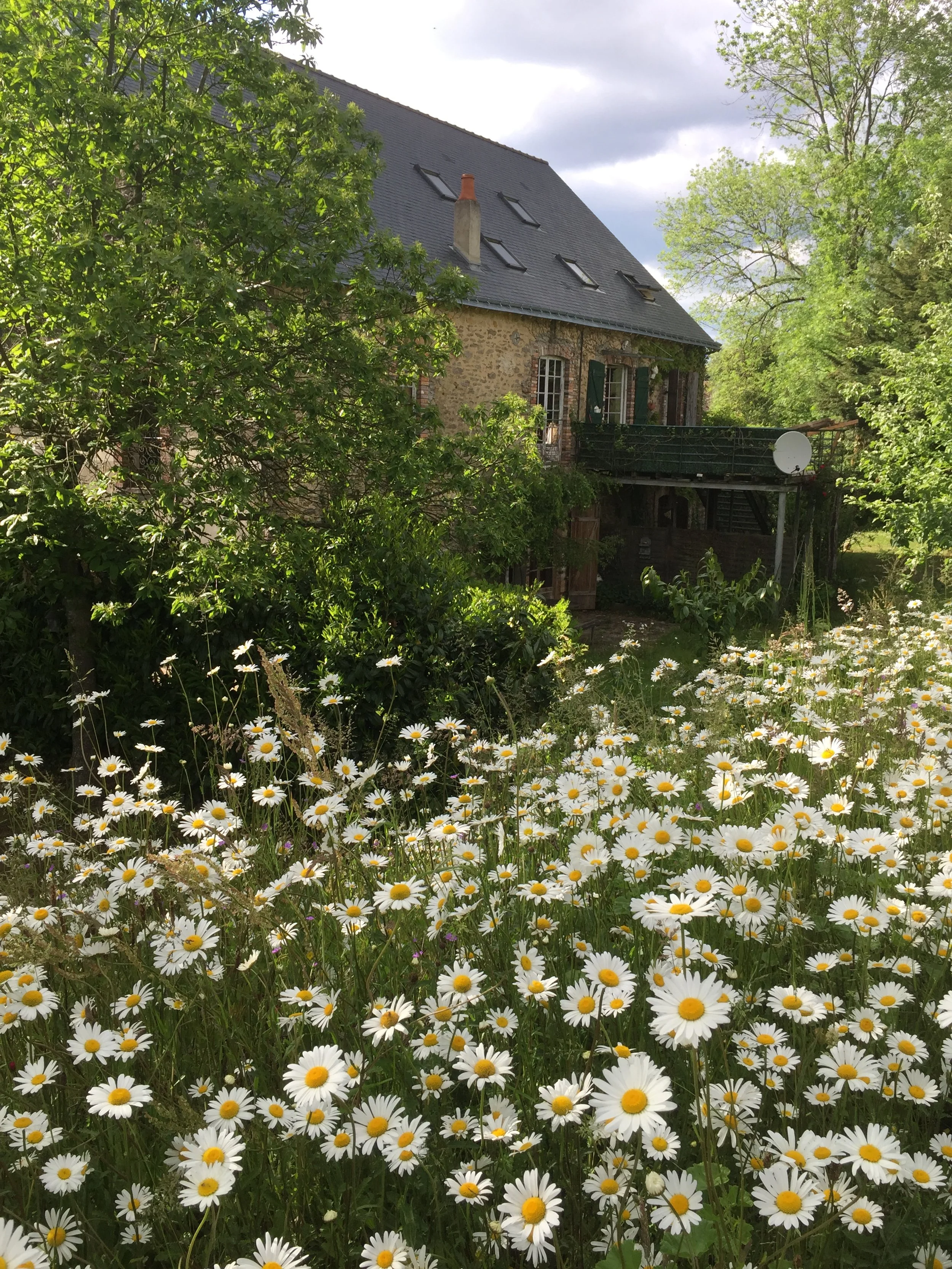 6) Atelierwohnung IMG_6720.JPG