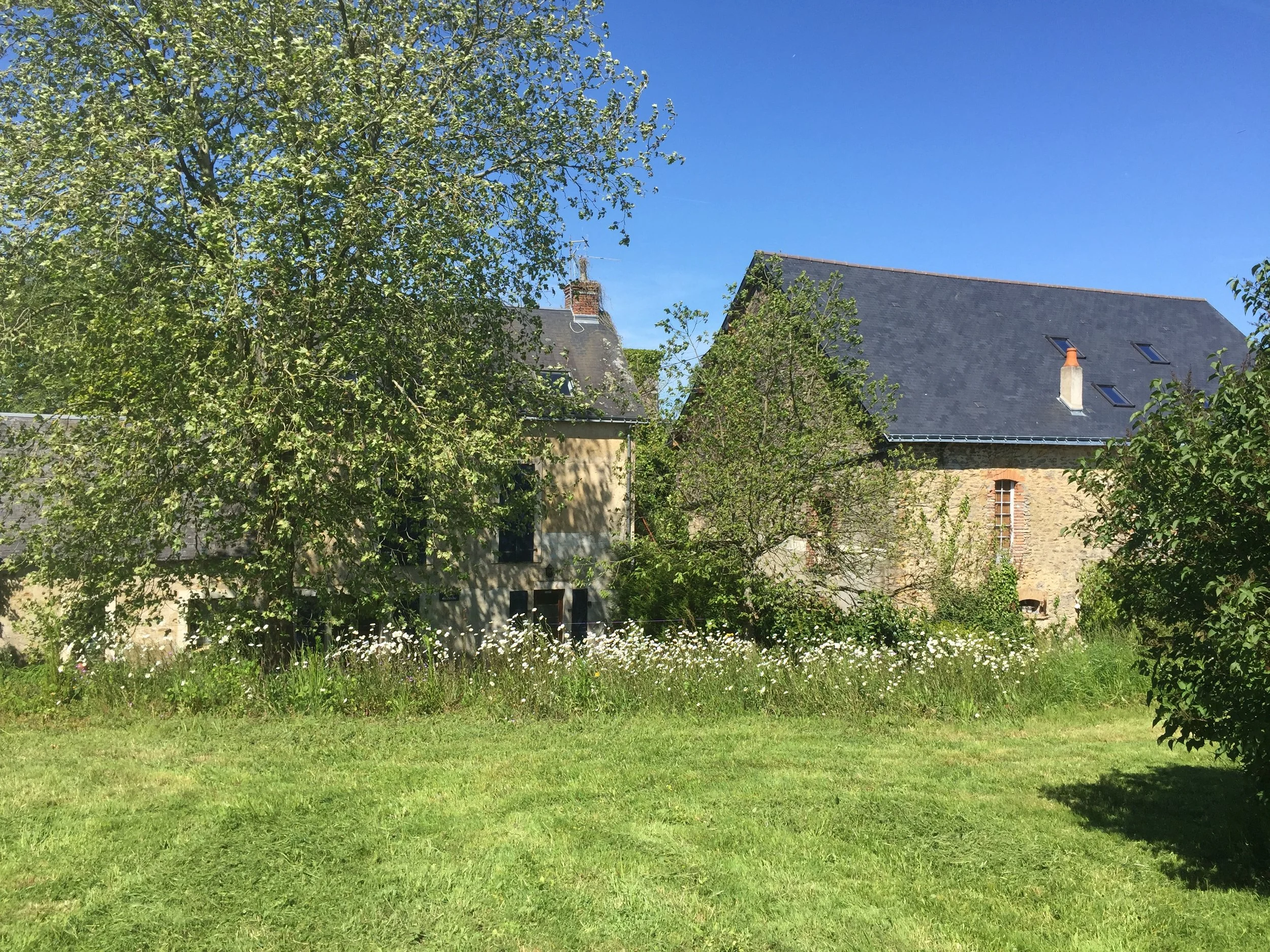 5)Atelierwohnung  IMG_6459.JPG