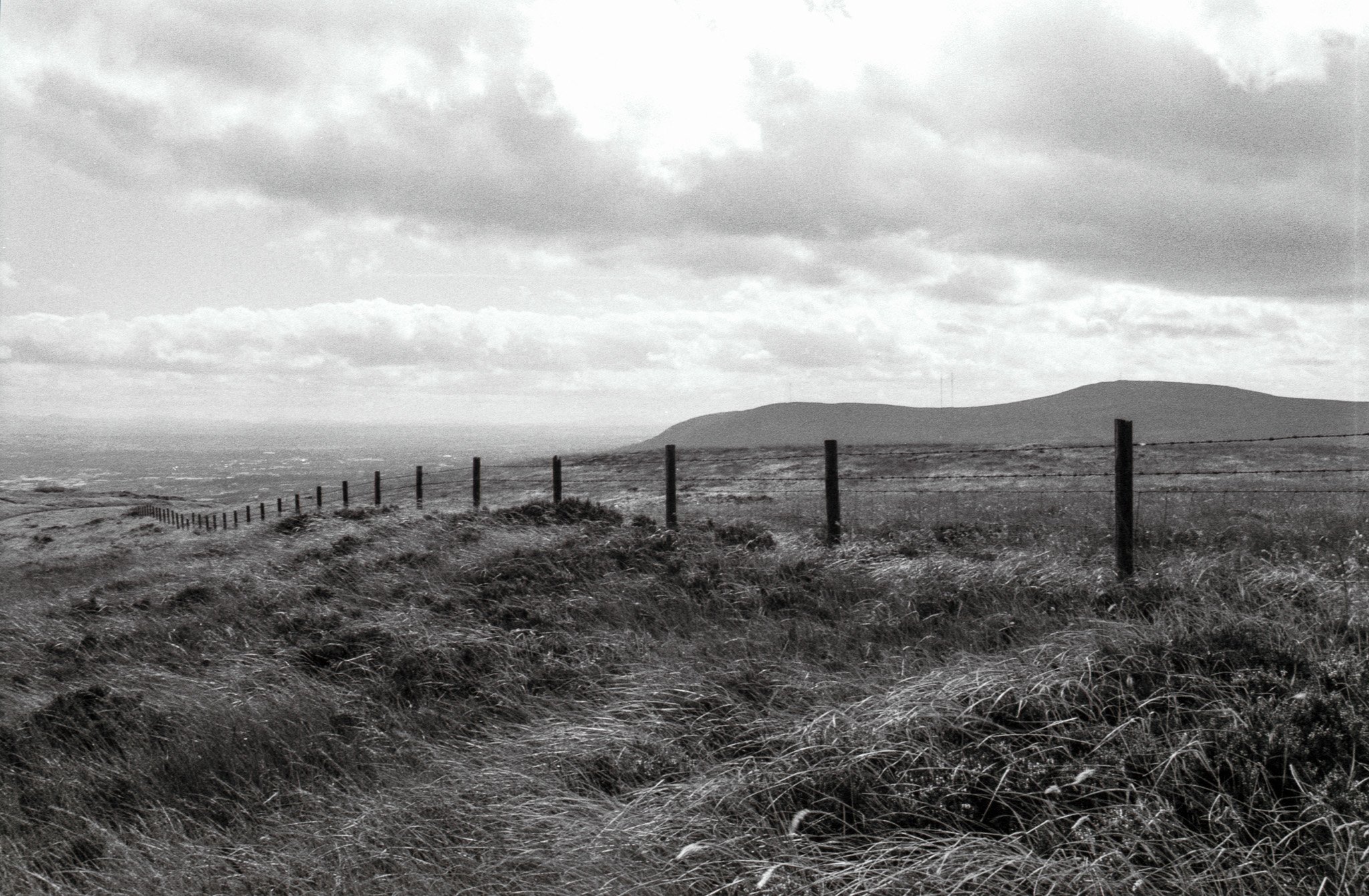 Fenced-2.jpg