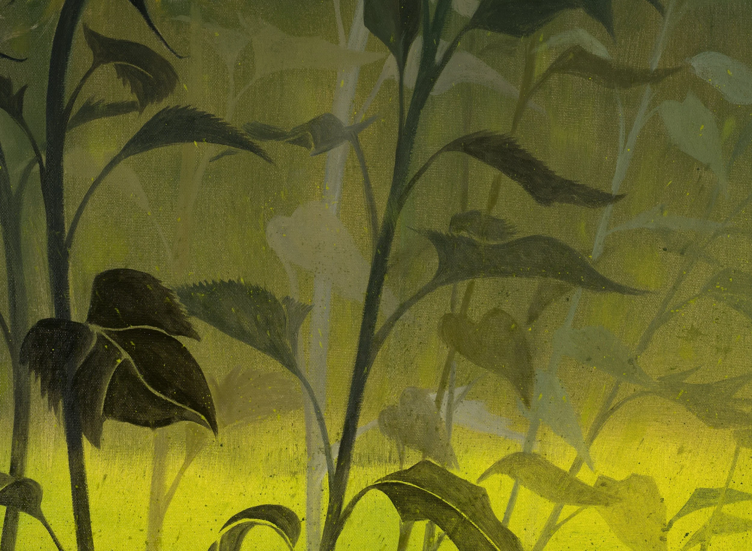 detail of 78% CHANCE OF RAIN (2023)