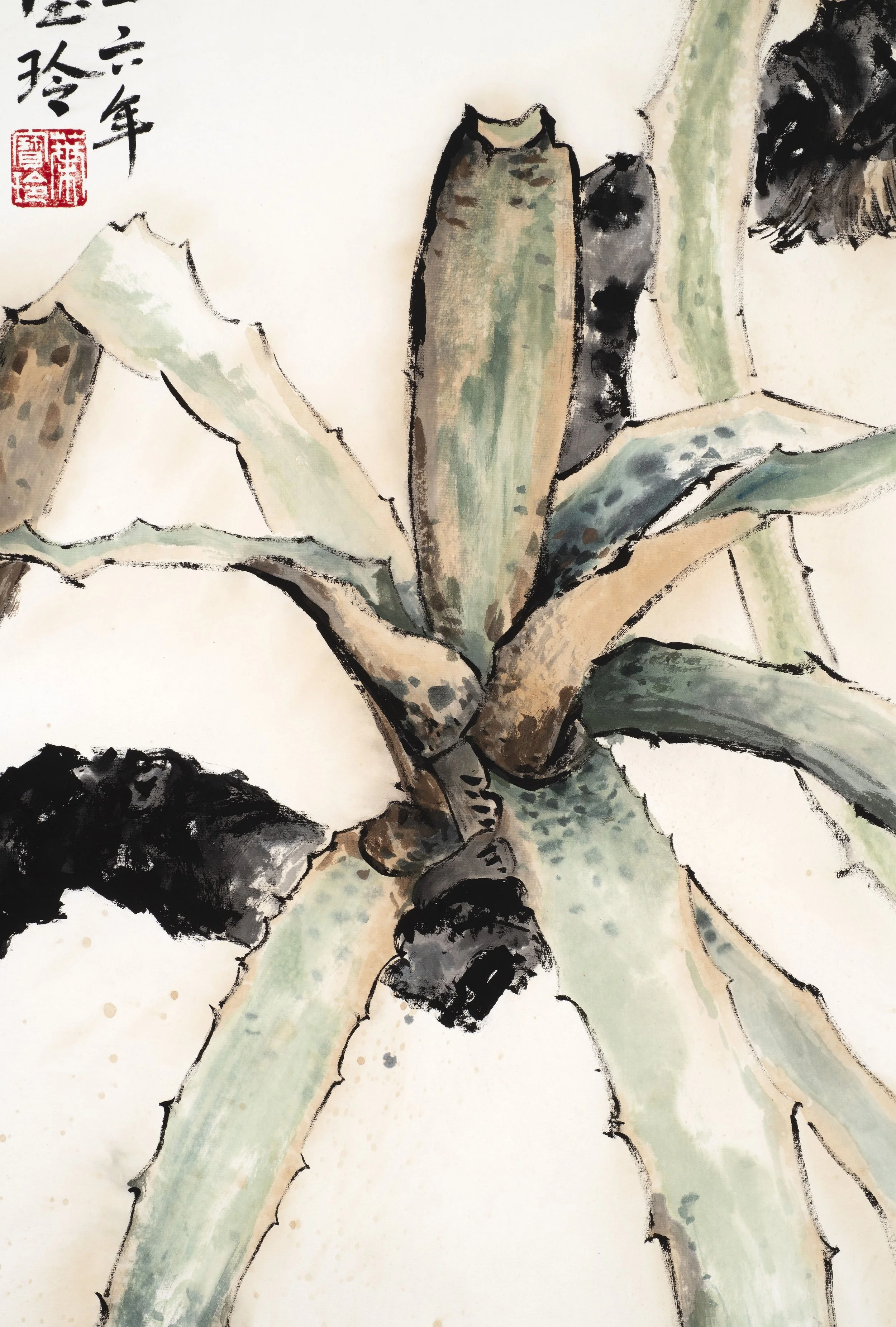 Edmundoa lindenii var. rosea