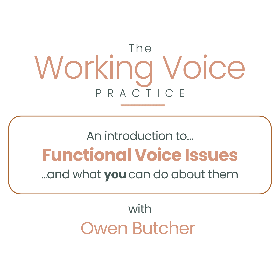 An Introduction To Functional Voice Issues
