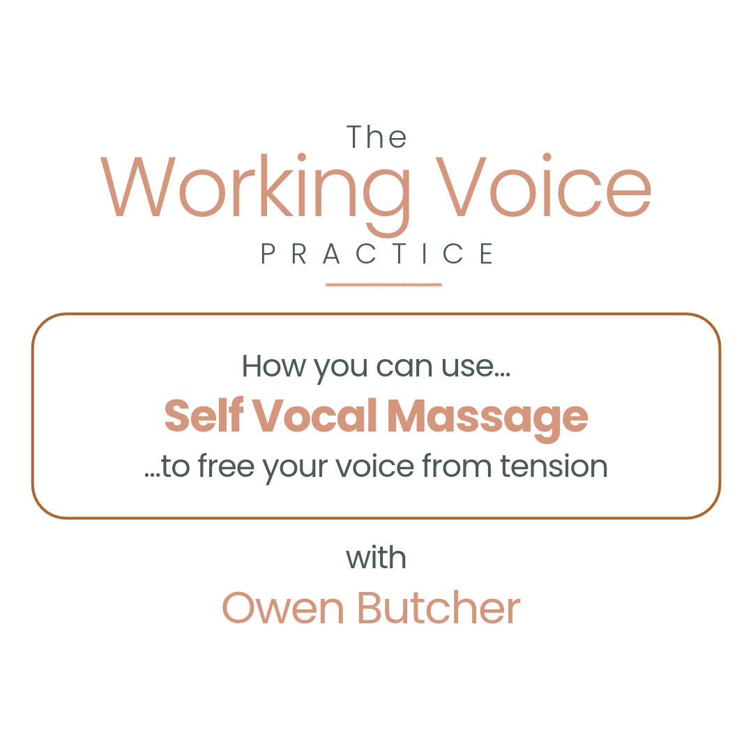 How You Can Use Self Vocal Massage