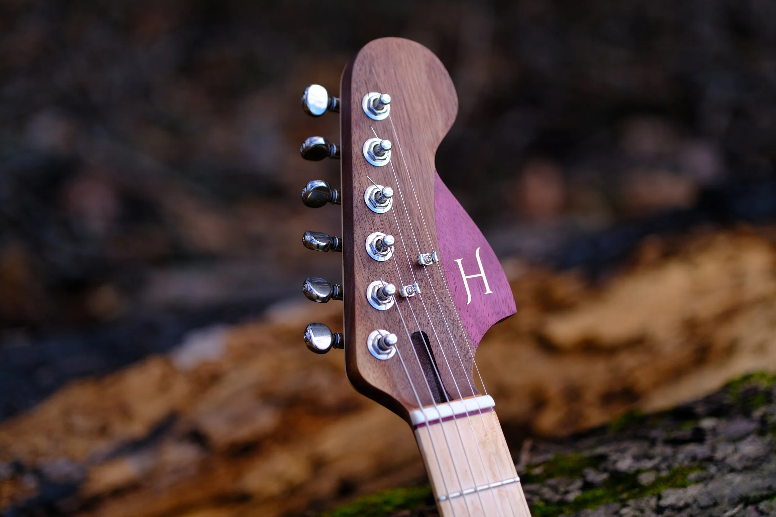 XT305386.JPG