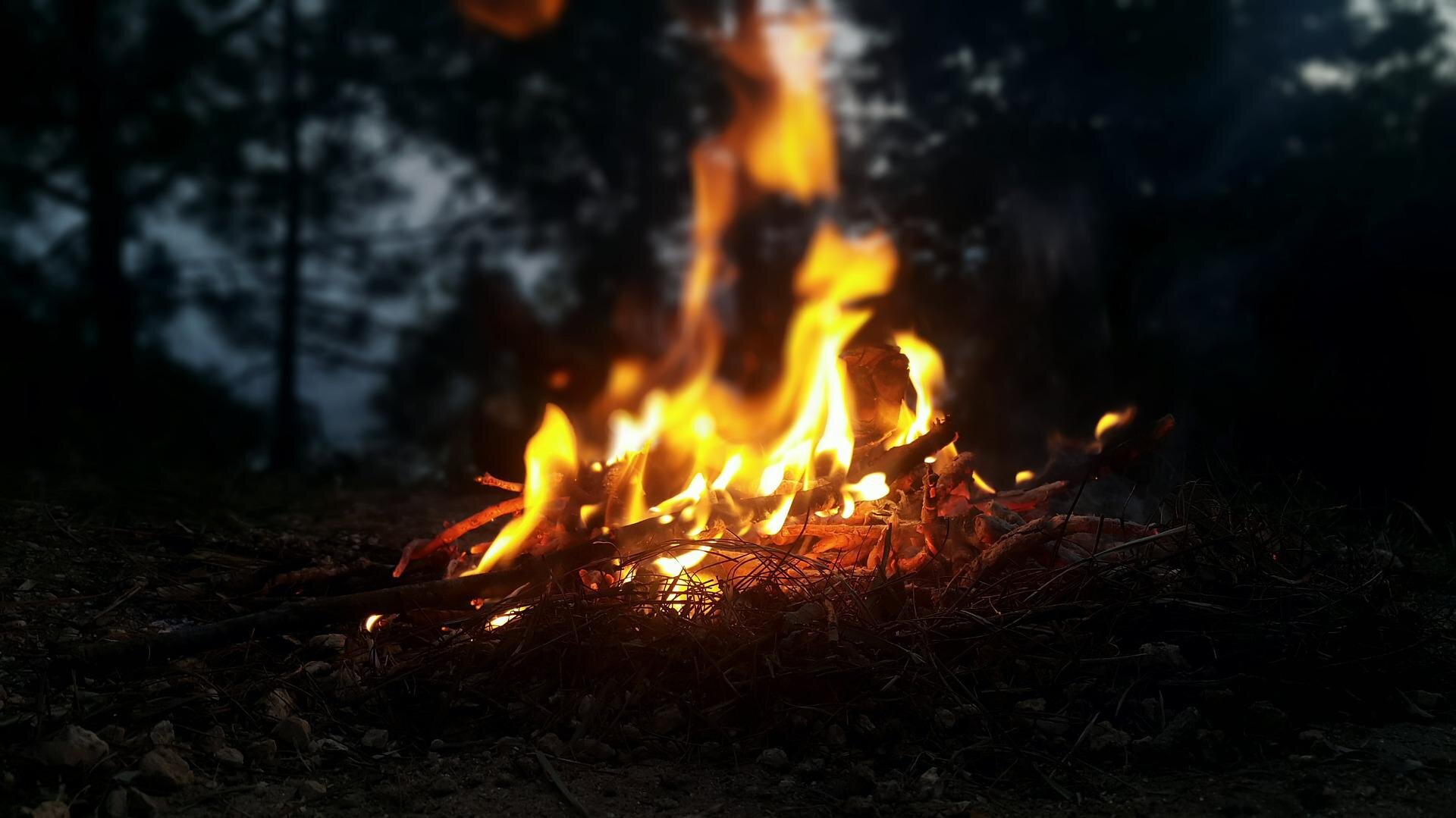 Lag B'Omer, 33 Days of Omer 5782