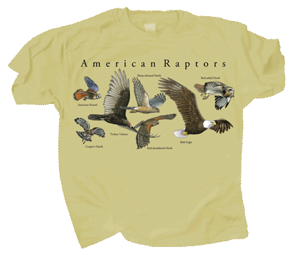 WC826-American-Raptors-tee (1).png