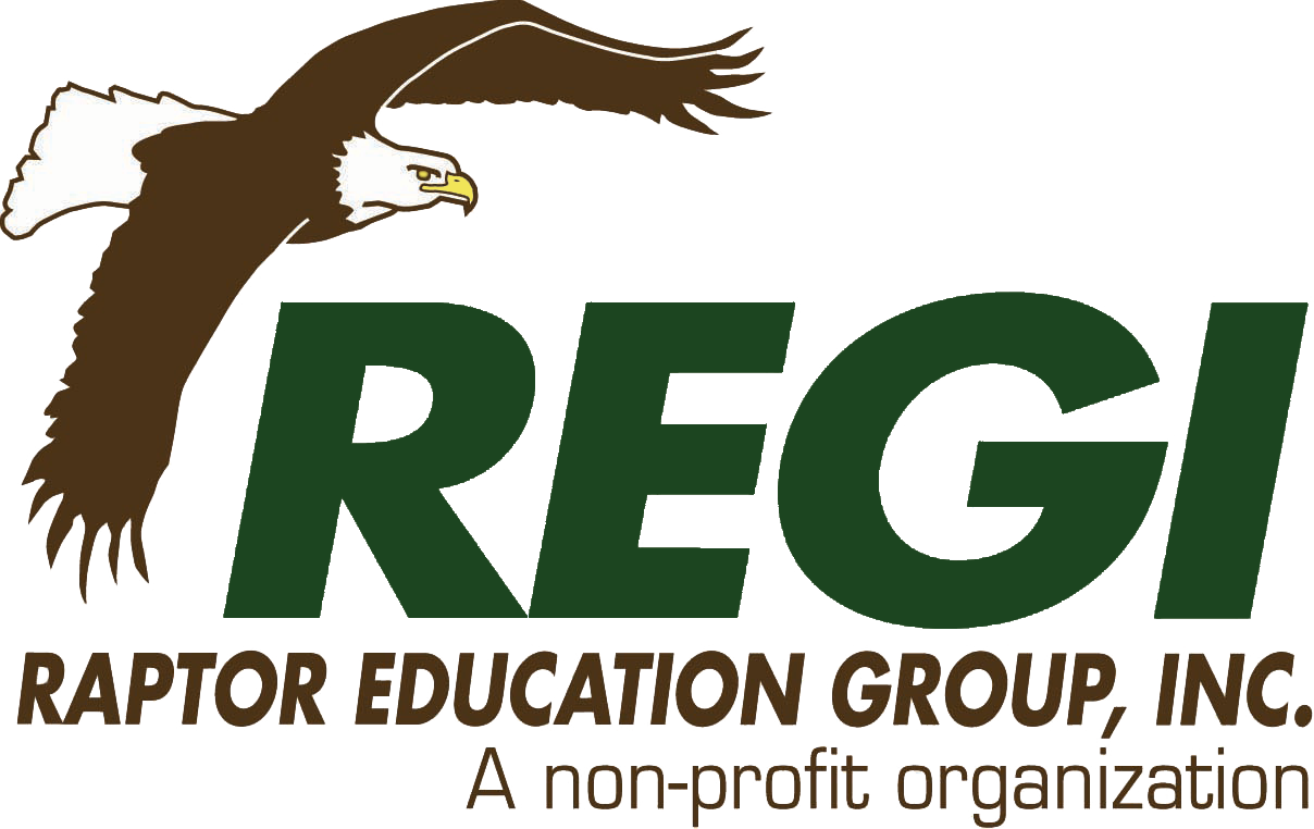 Raptor Education Group, Inc.