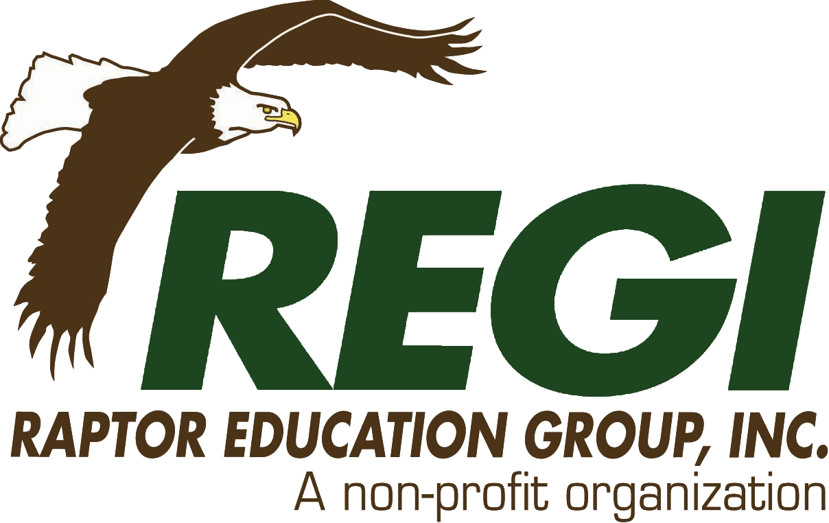 RAPTOR EDUCATION GROUP INC visual data 2