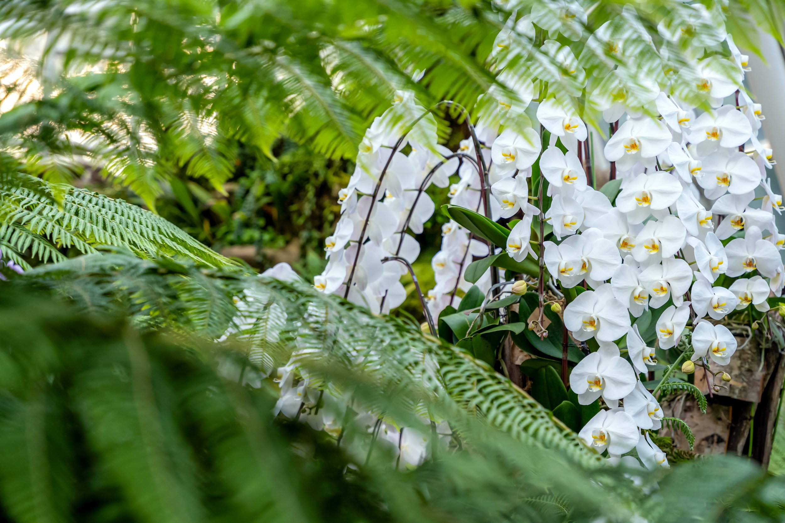 _DSC5218-Edit.jpg