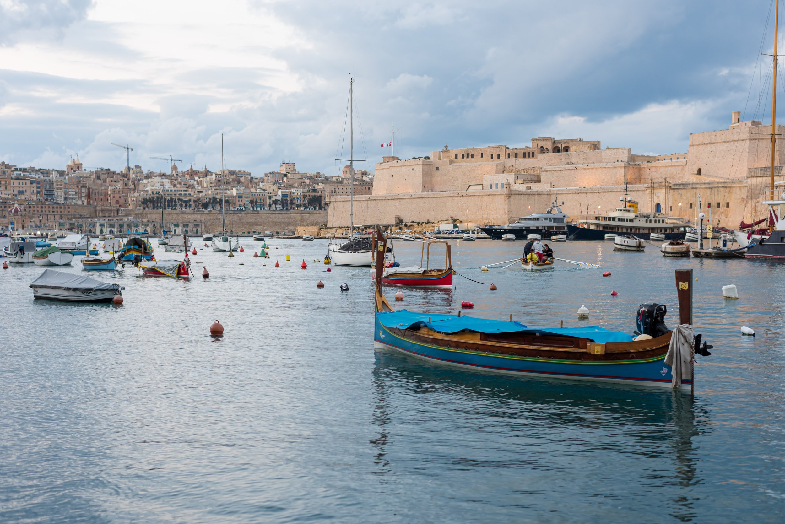 DSC_2595.jpg