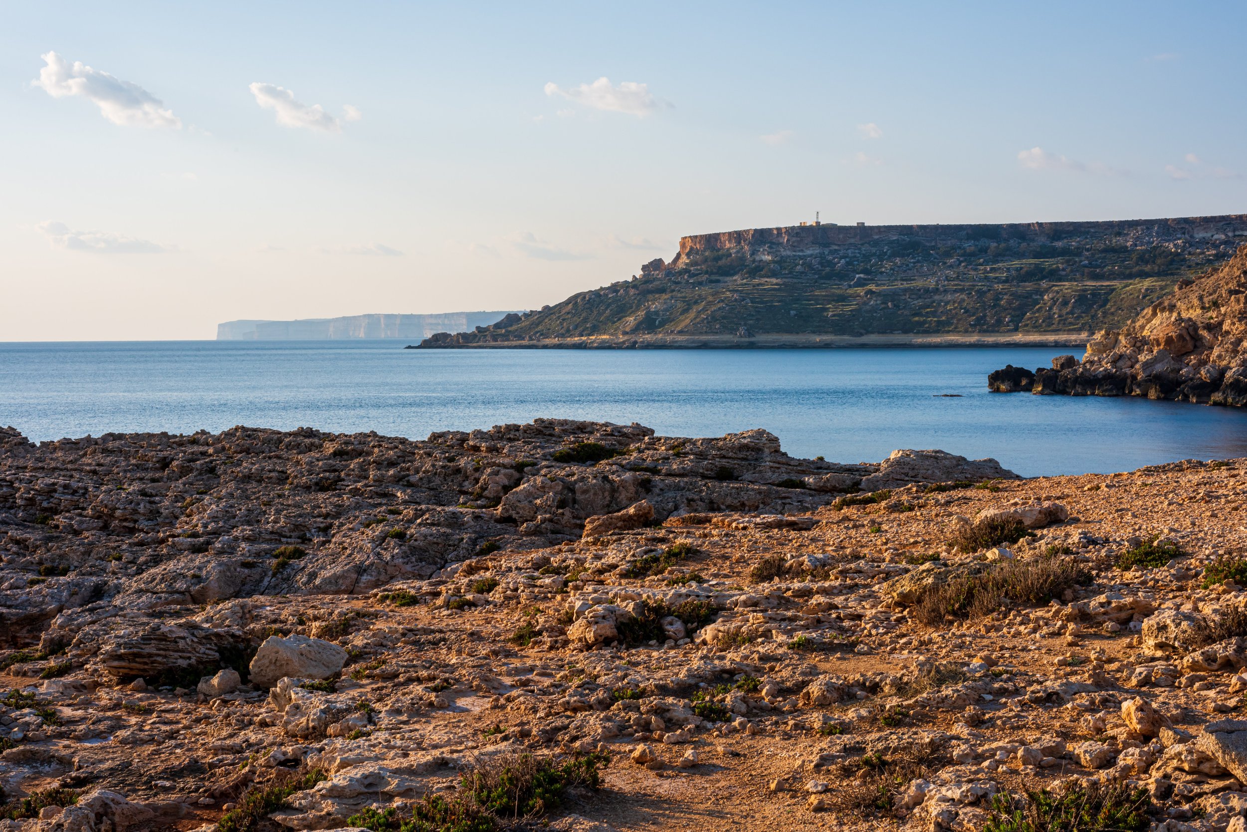 DSC_2686.jpg