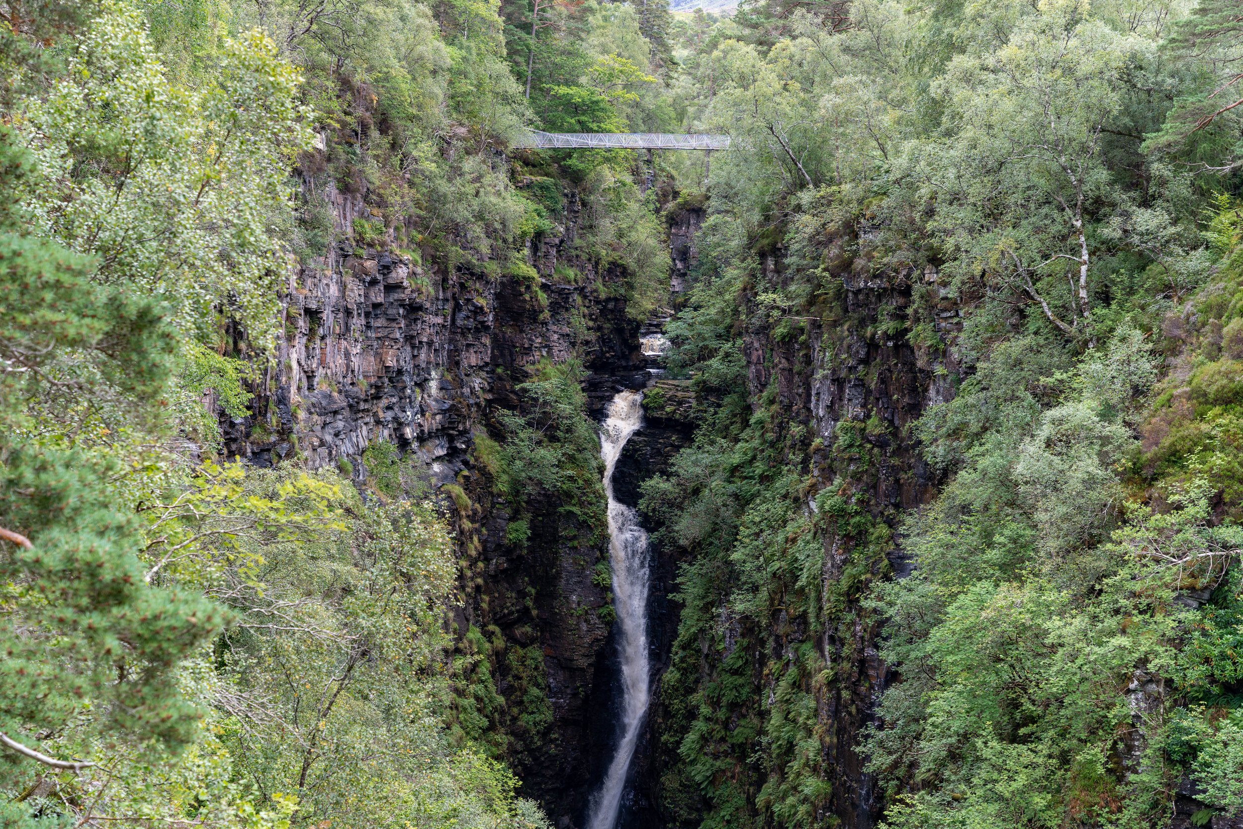 DSC01112.jpg