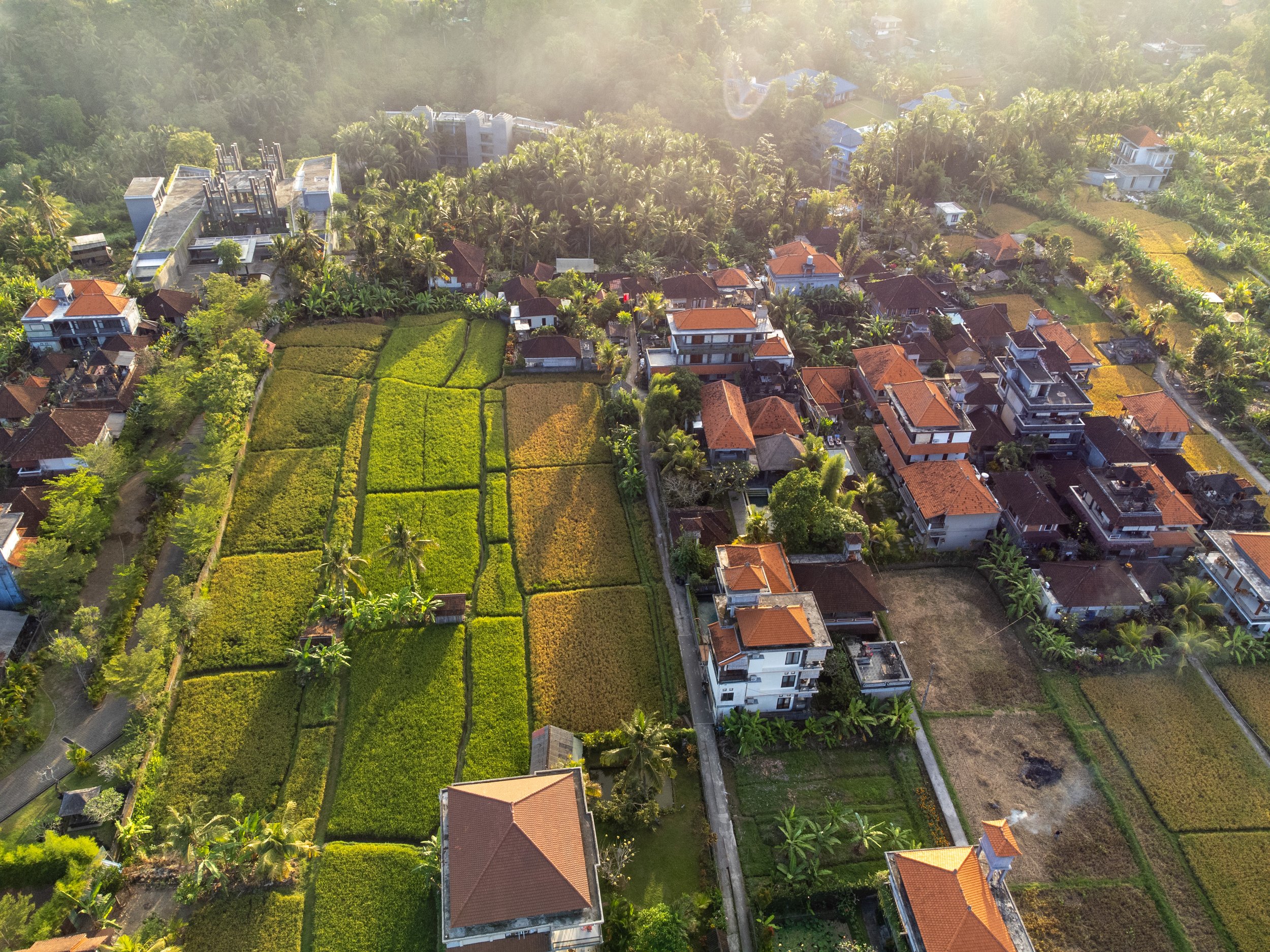 DJI_0246.jpg