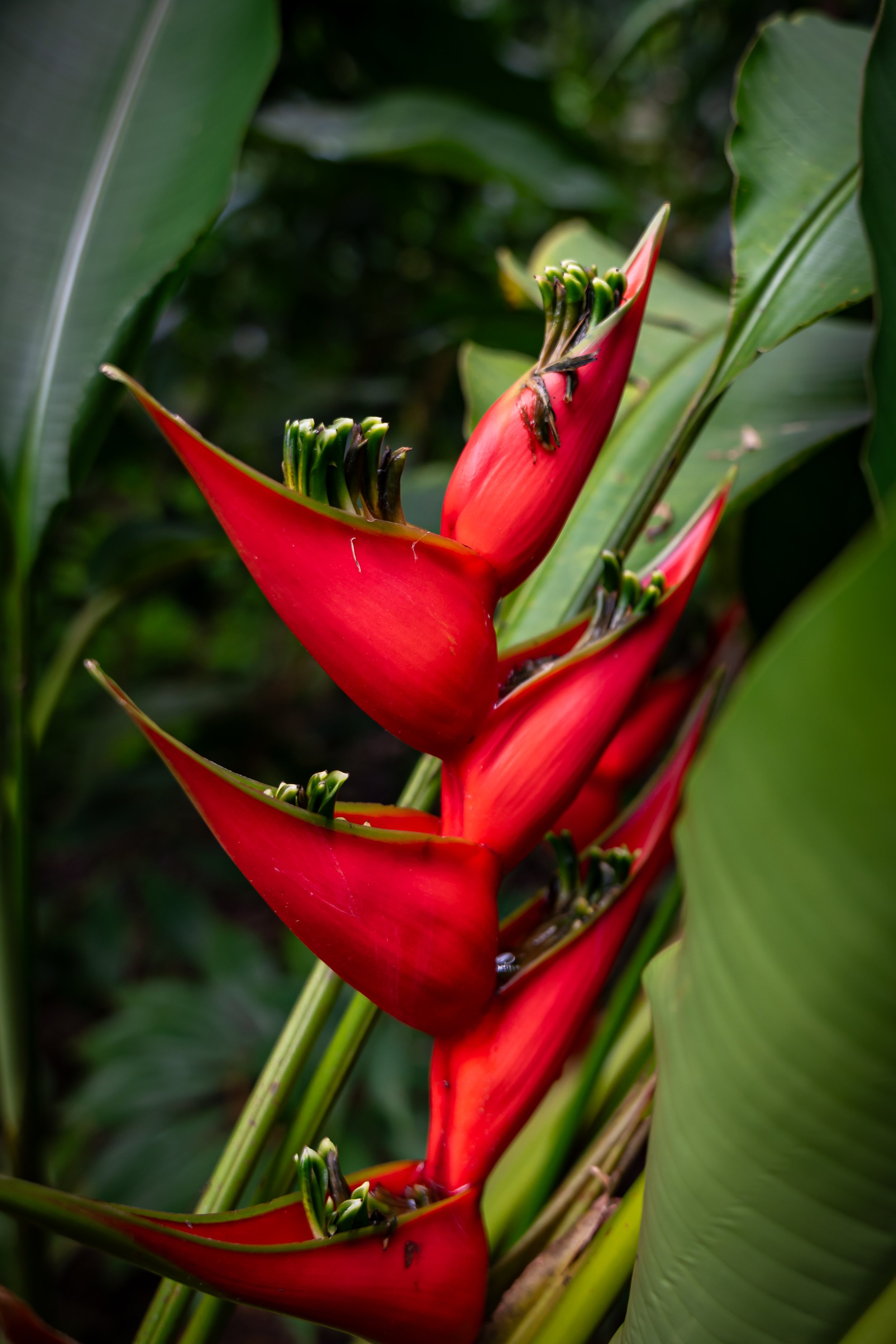 _DSC5136.jpg