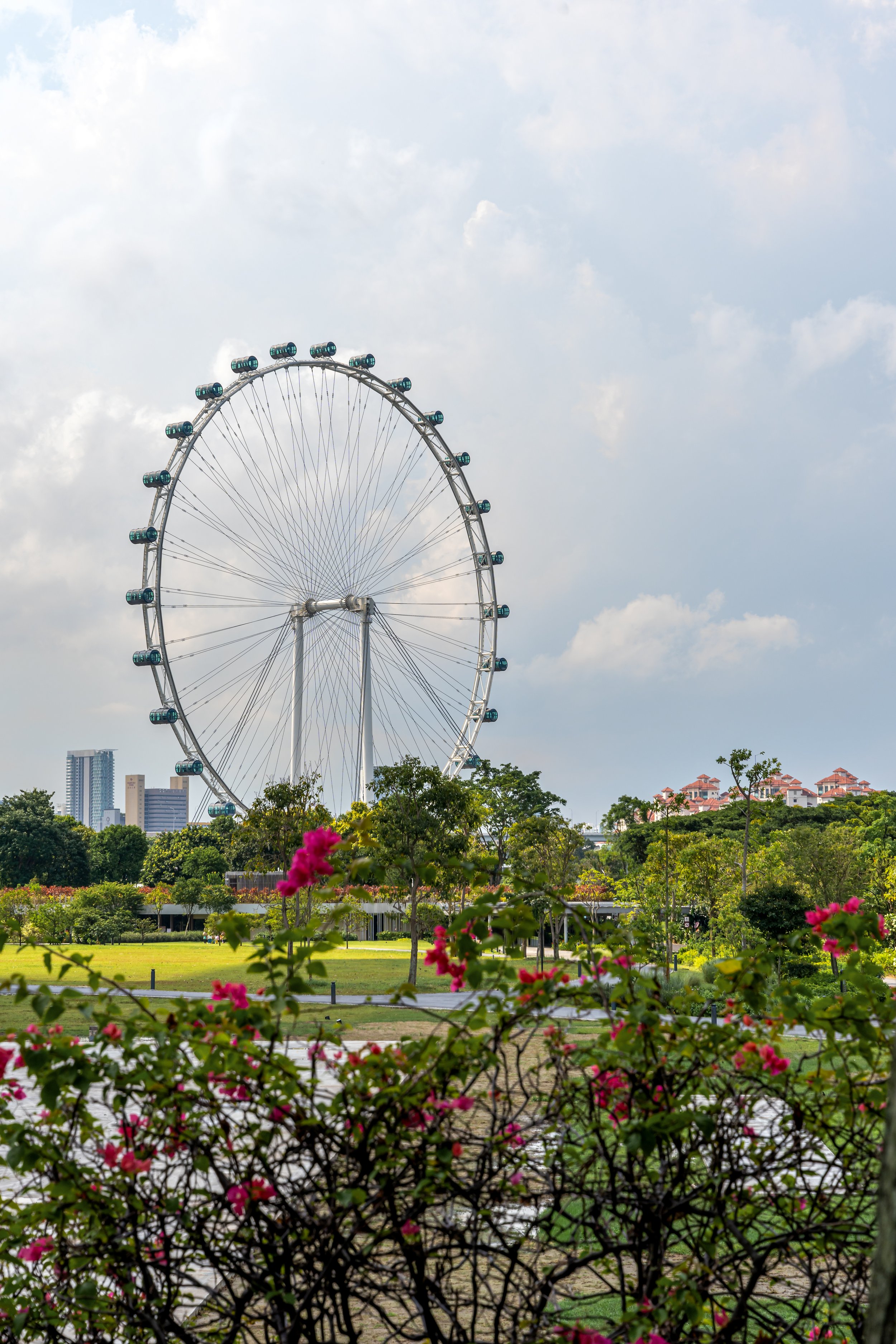 _DSC5310-Edit.jpg