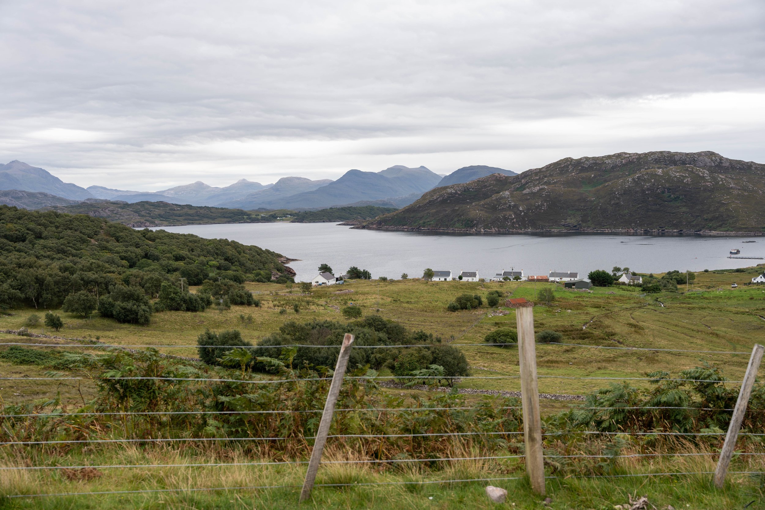 DSC01195.jpg