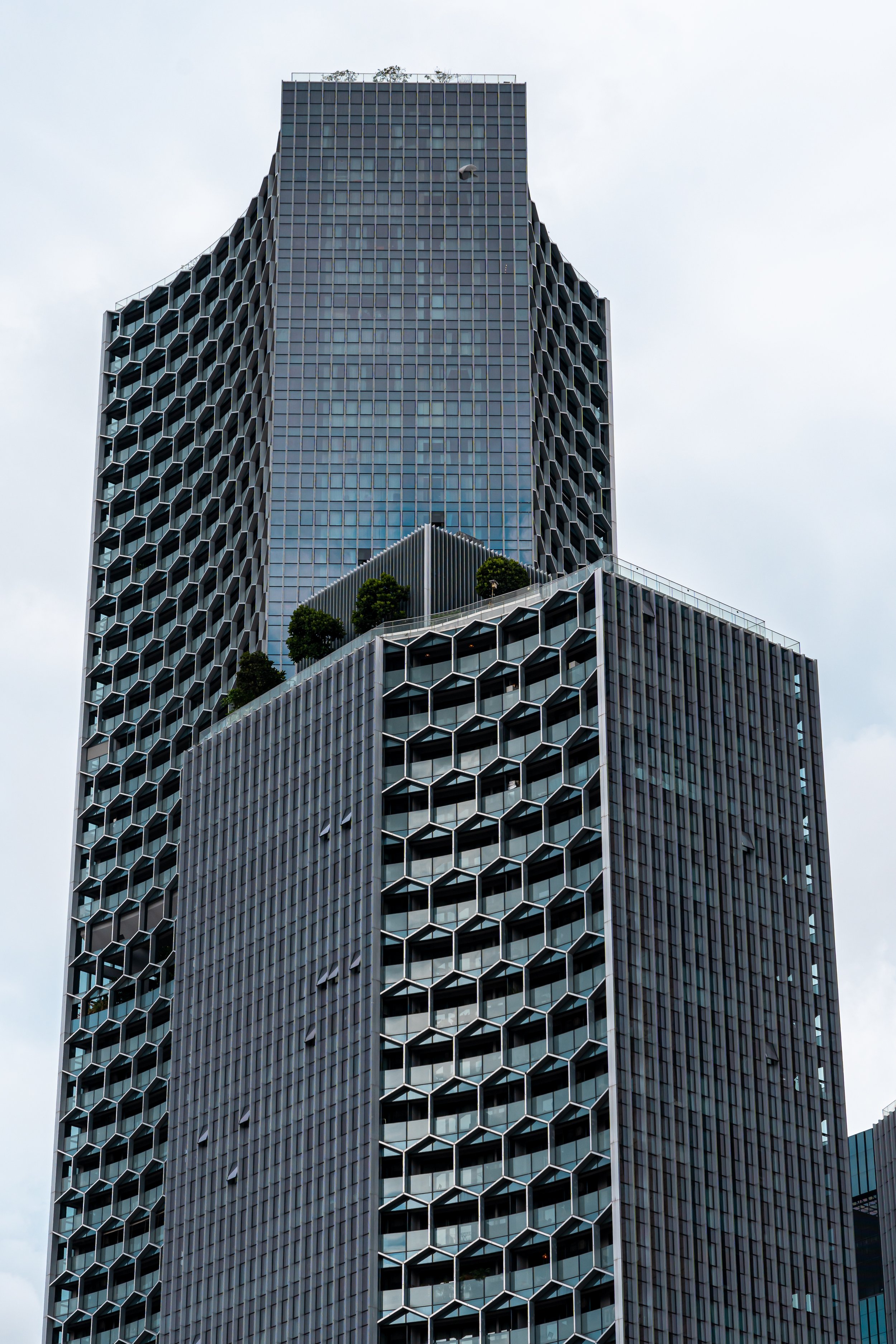 _DSC5003.jpg