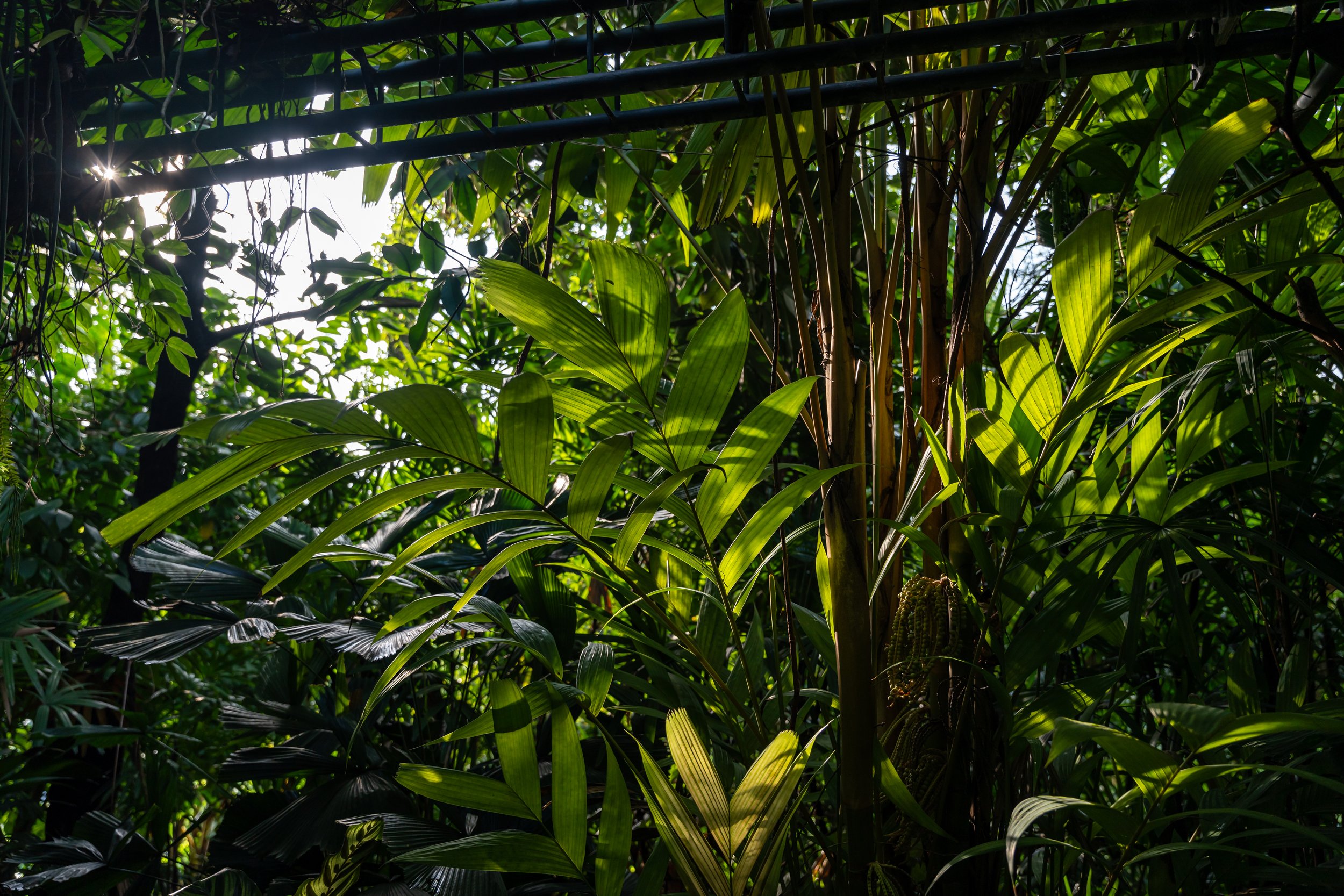 _DSC5203.jpg