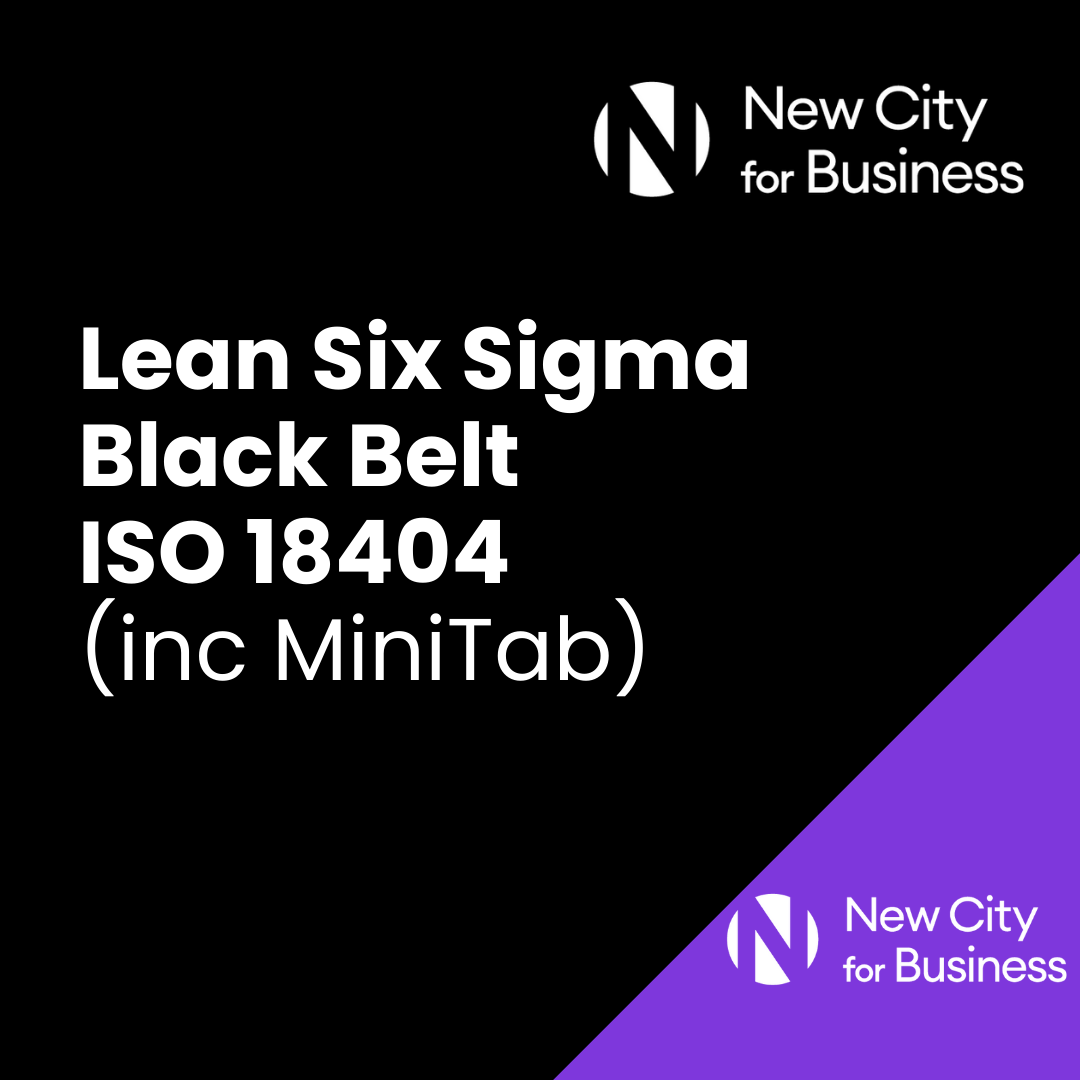 Lean Six Sigma Black Belt ISO 18404 Training Course (3).png