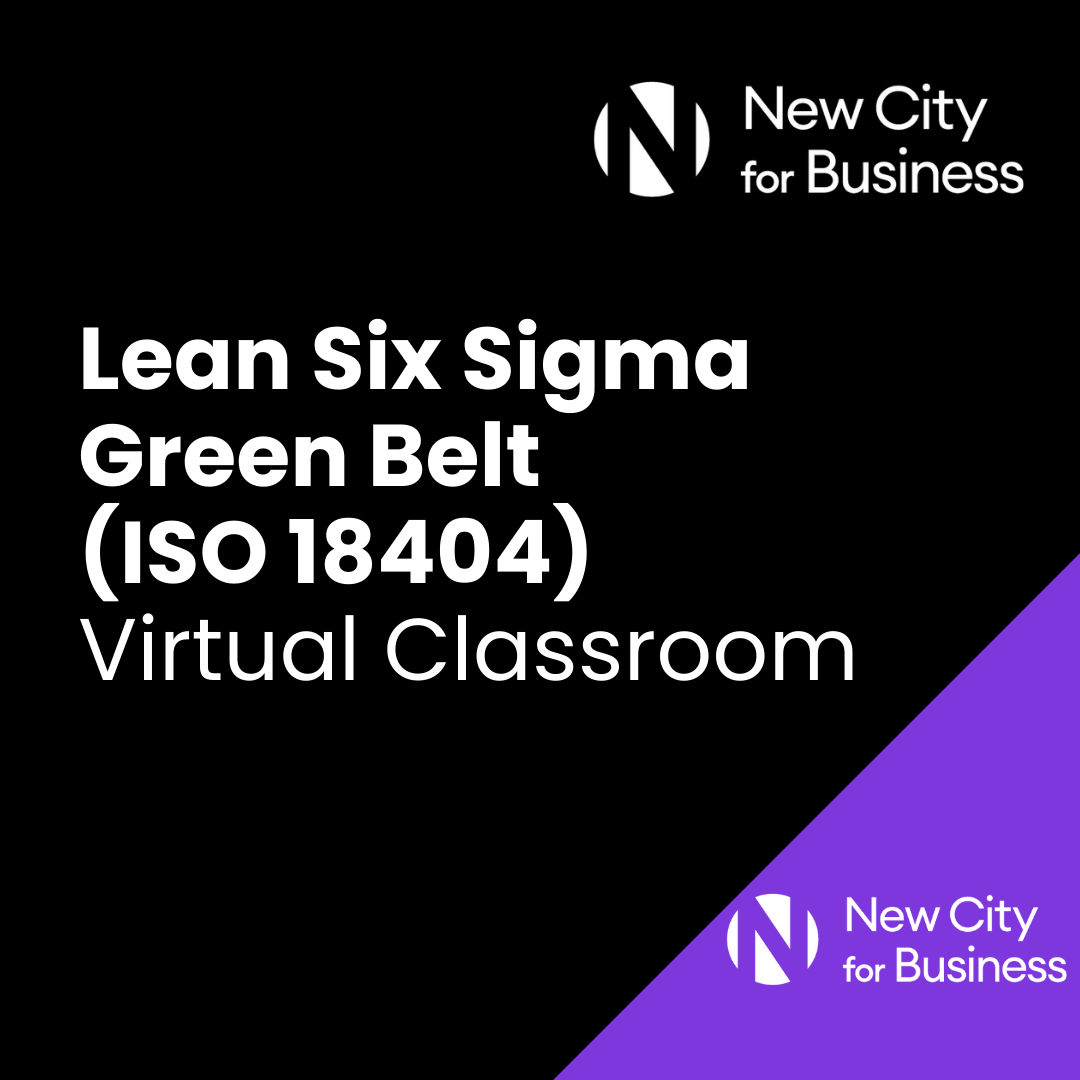 Lean Six Sigma Black Belt ISO 18404 Training Course (5).png