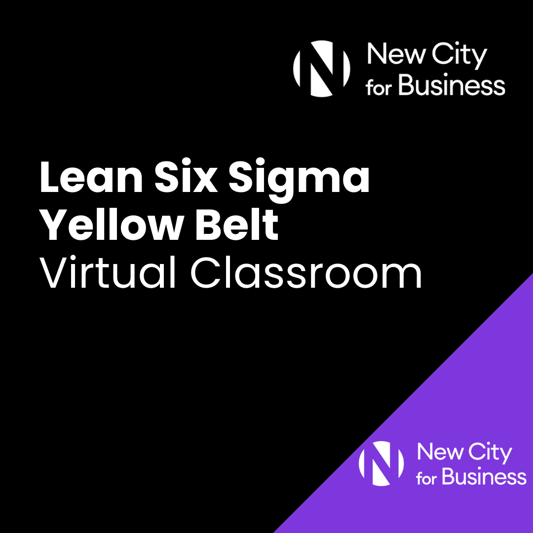 Lean Six Sigma Black Belt ISO 18404 Training Course (6).png