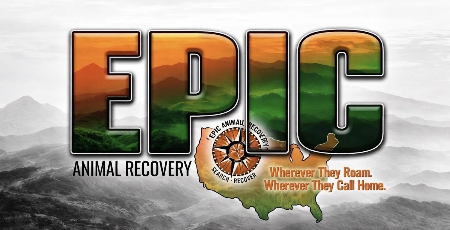 Epic Animal Recovery