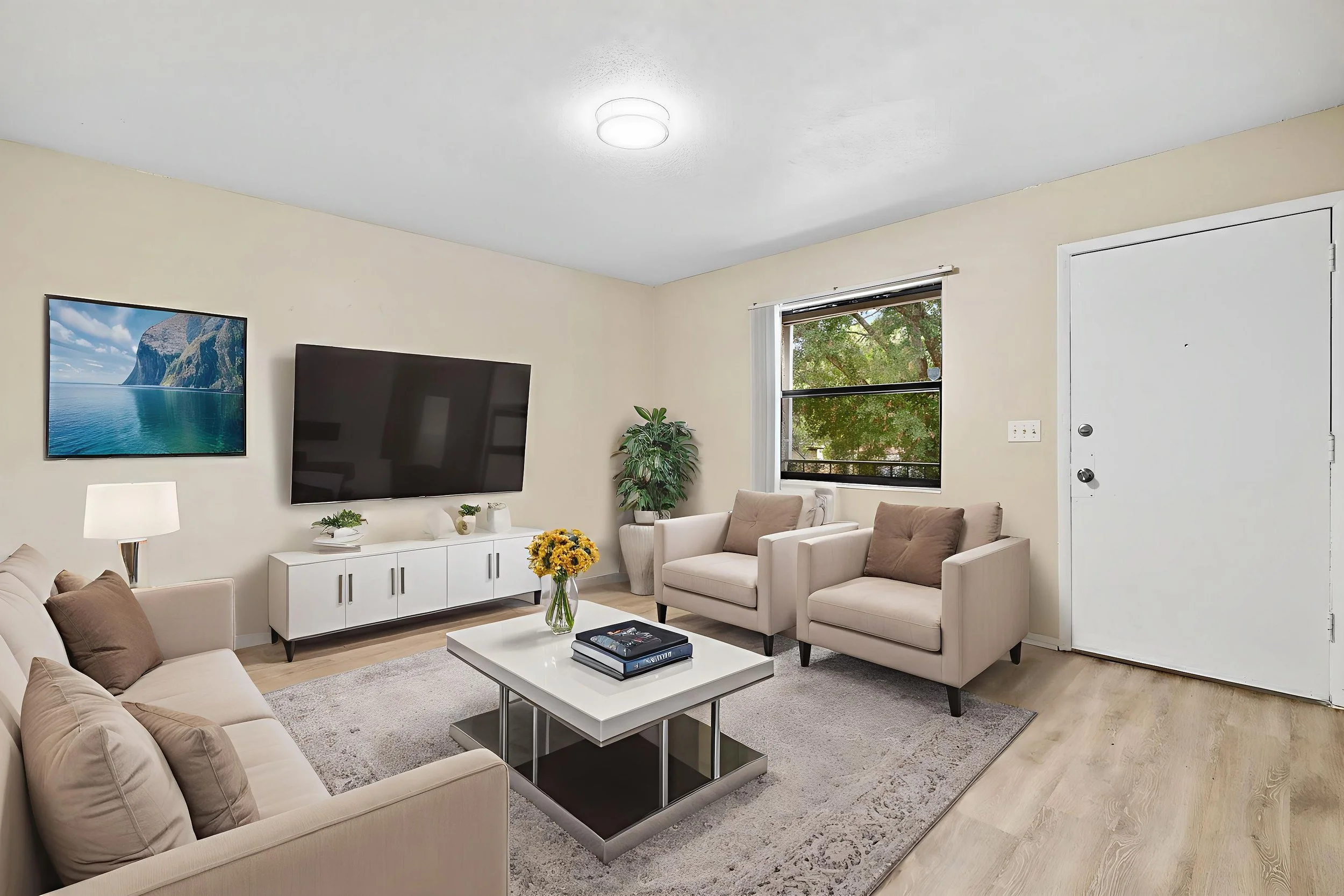 45_dsc04836 - living room - standard - 0.jpg