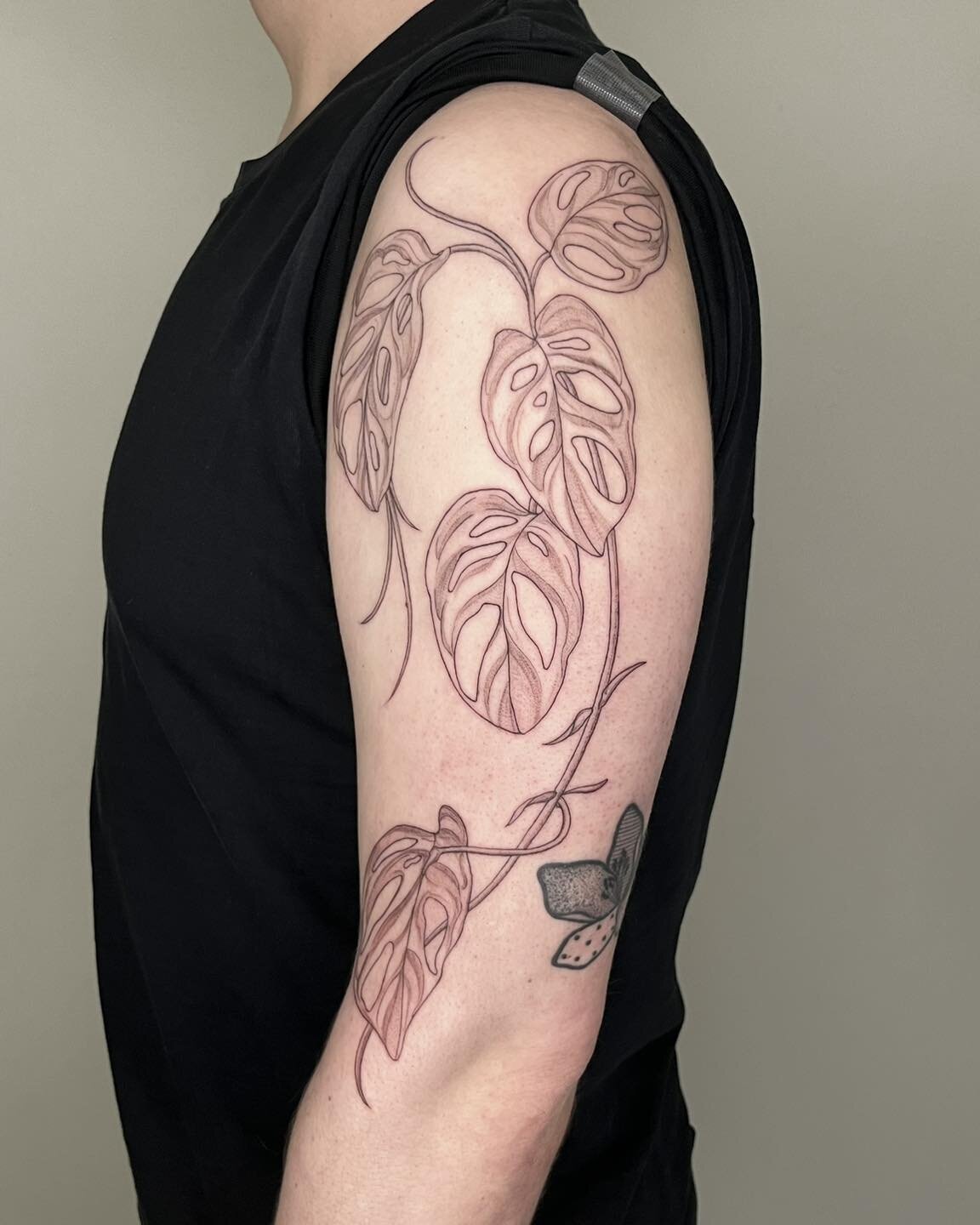 Monstera adansonii 🪴 Always stoked to do large scale vines like this! Thanks, Nick!! &bull; Currently booking for May ✨
&bull;
&bull;
&bull;
#bayareatattoo #bayareatattooartist #sftattooartist #sftattoo #oaklandtattoo #berkeleytattoo #planttattoo #m