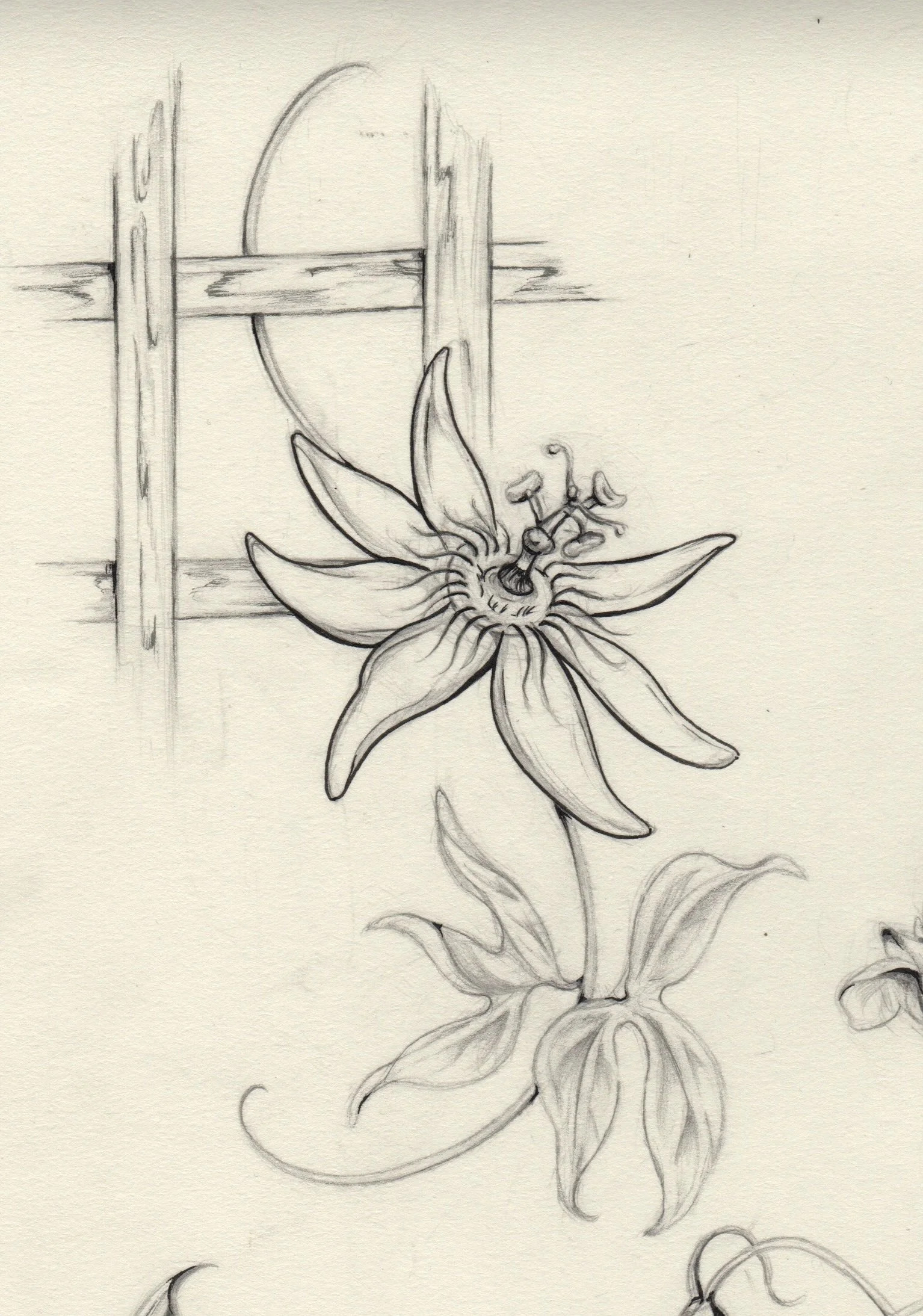 20251114-100955 2.jpg